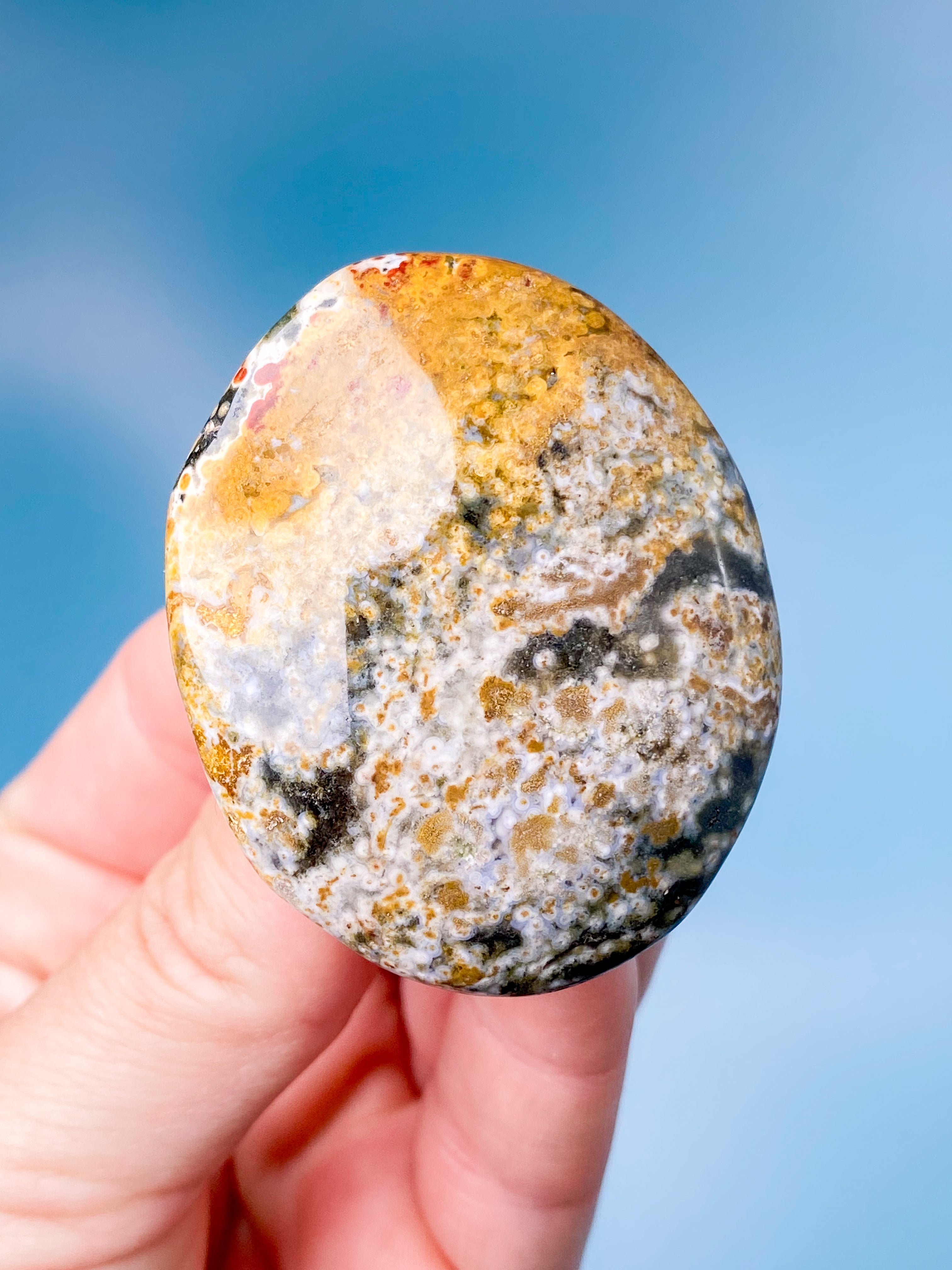 Ocean Jaspis Palmstone (Nr. 6)