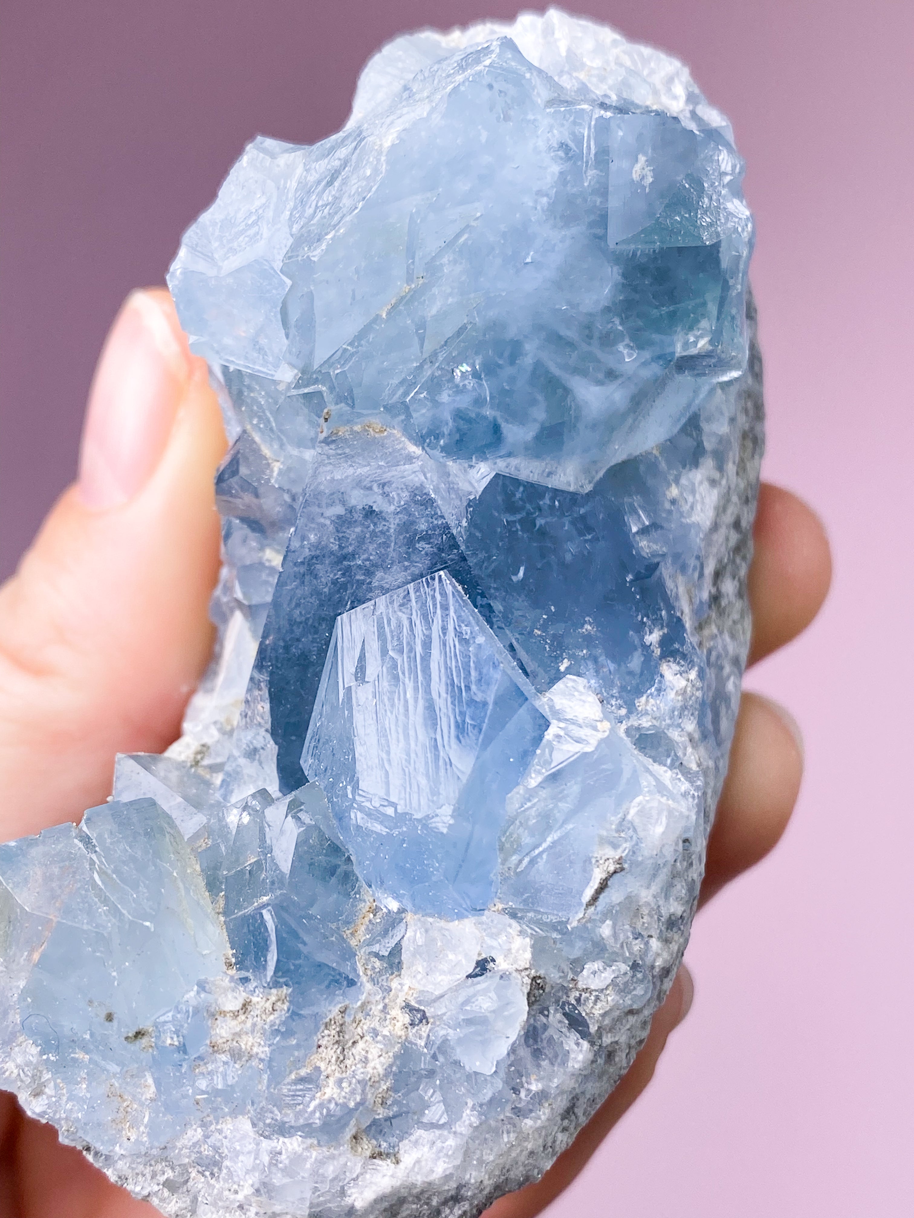 Celestit Cluster (nr 4)