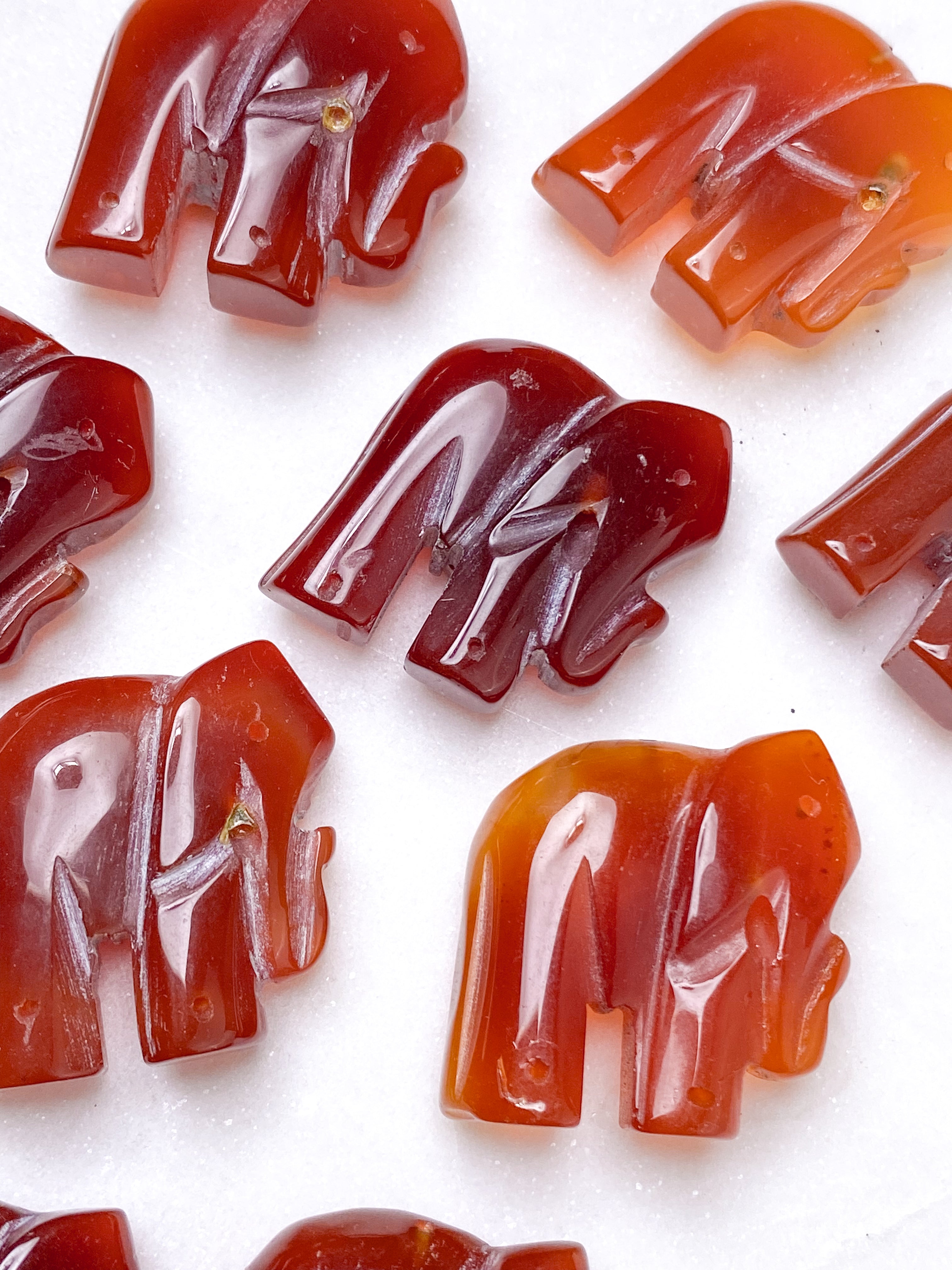 Karneol elefantmagnet