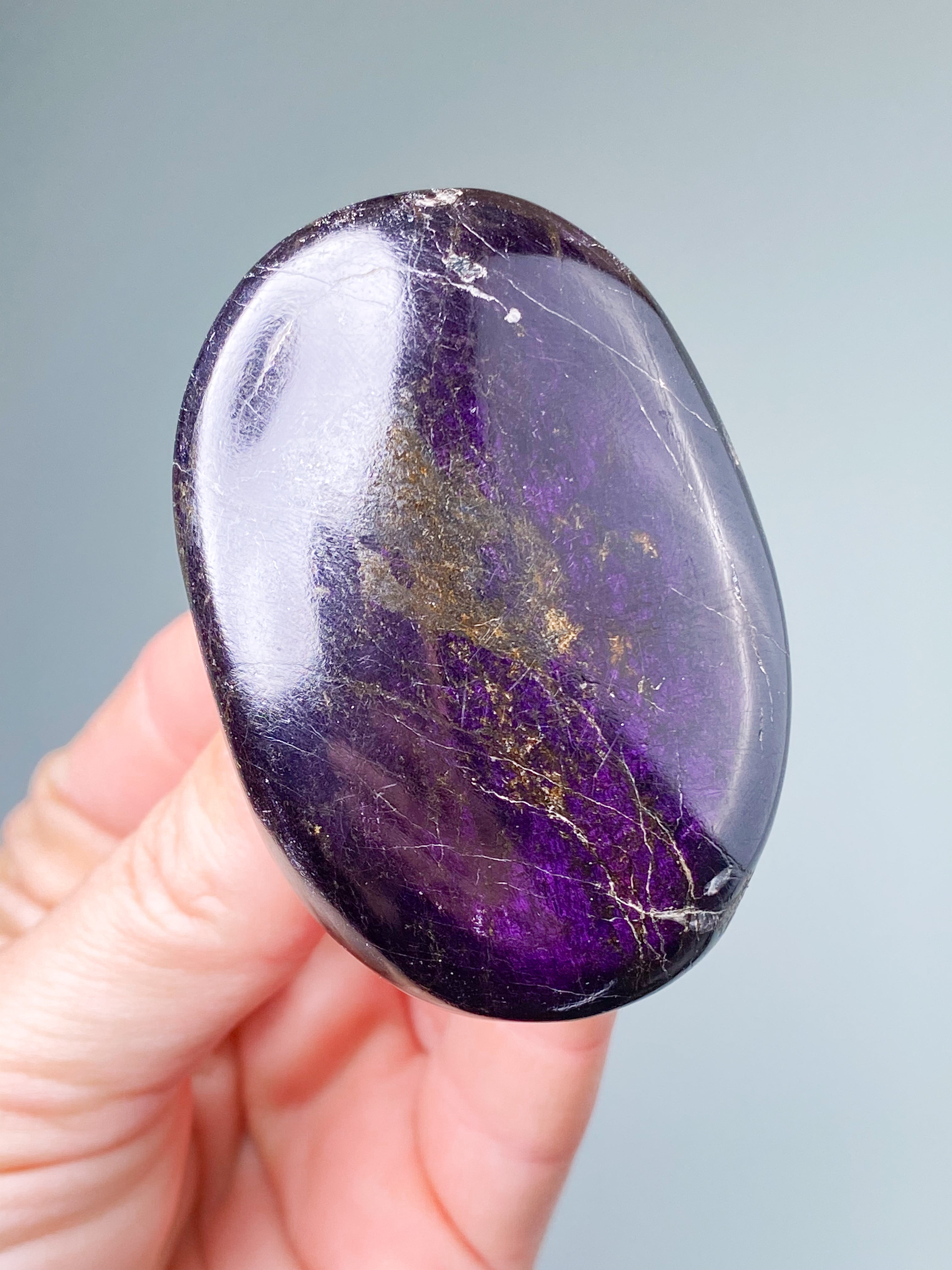 Purpuritpolerad (nr 1)