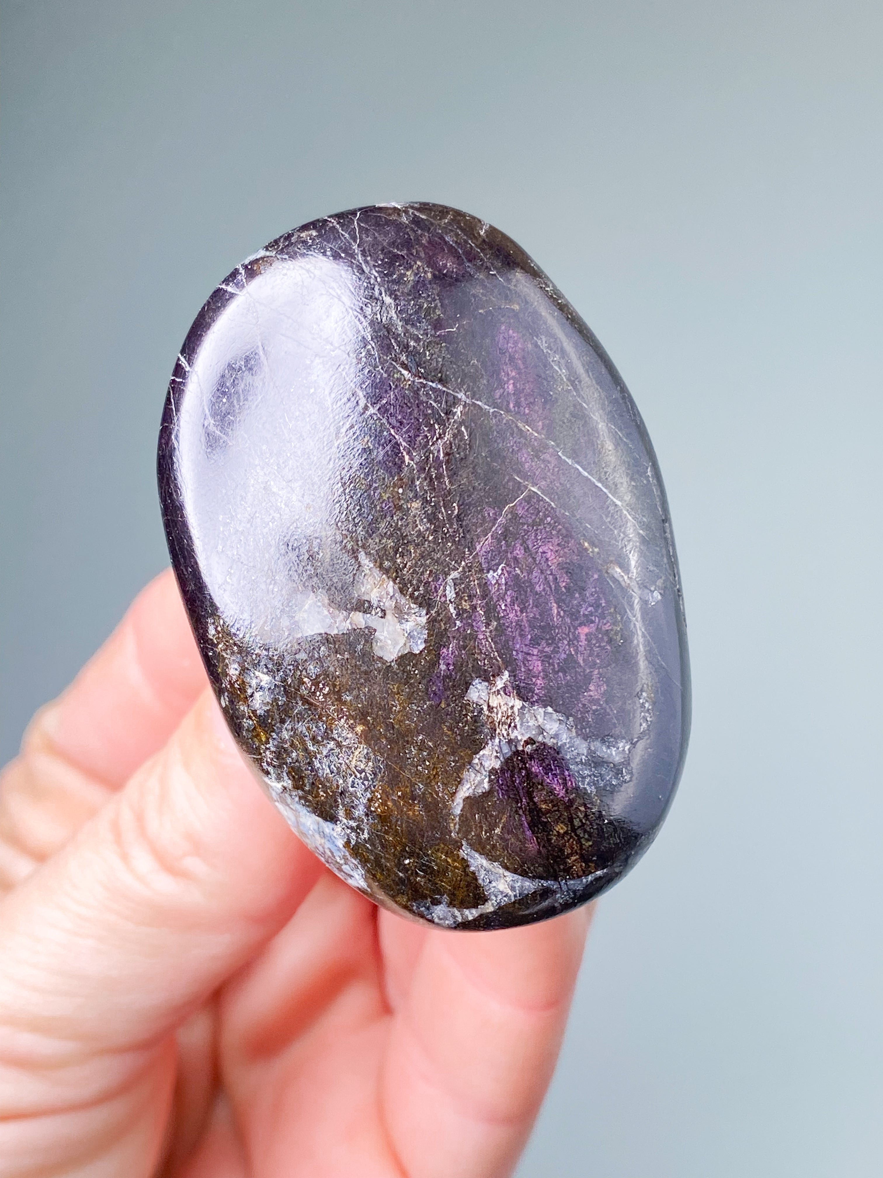 Purpuritpolerad (nr 1)