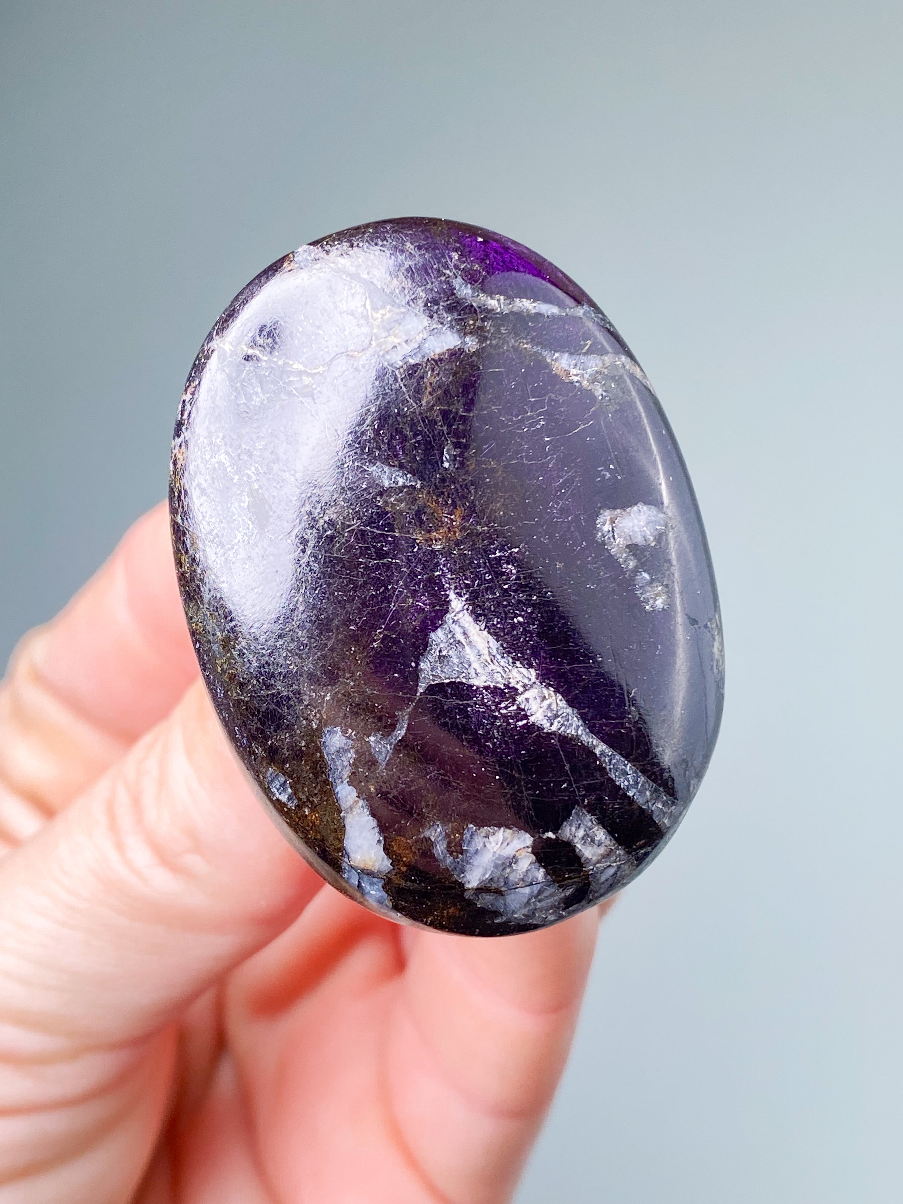 Purpuritpolerad (nr 1)