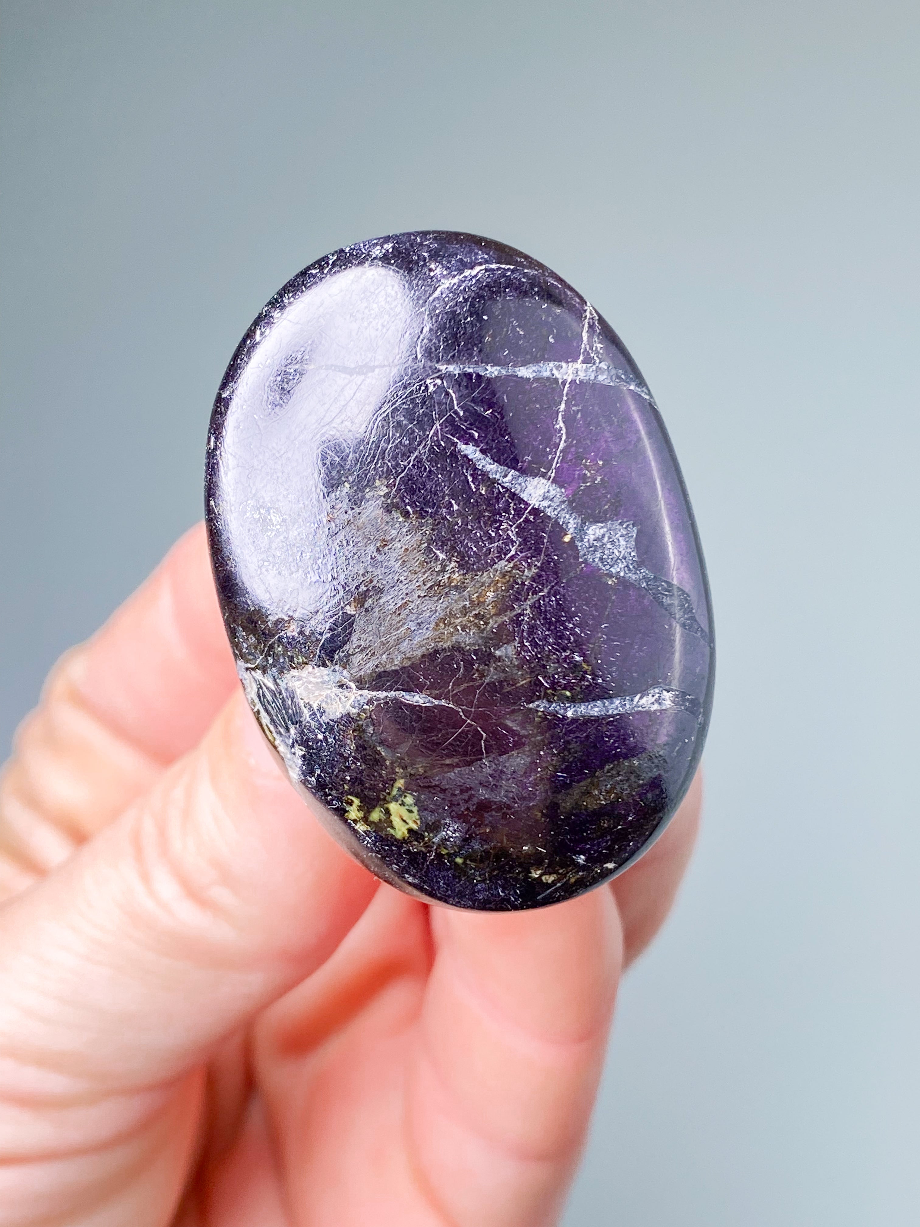 Purpuritpolerad (nr 1)