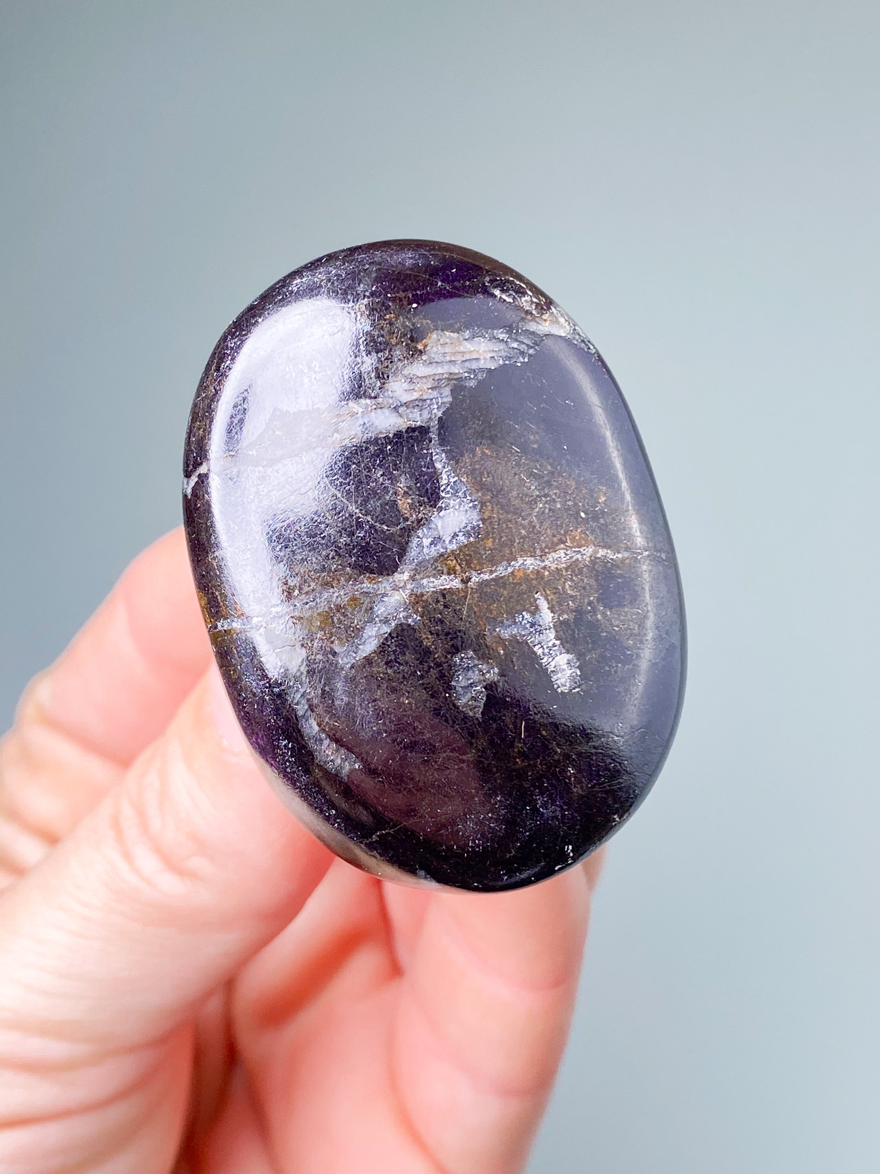 Purpuritpolerad (nr 1)