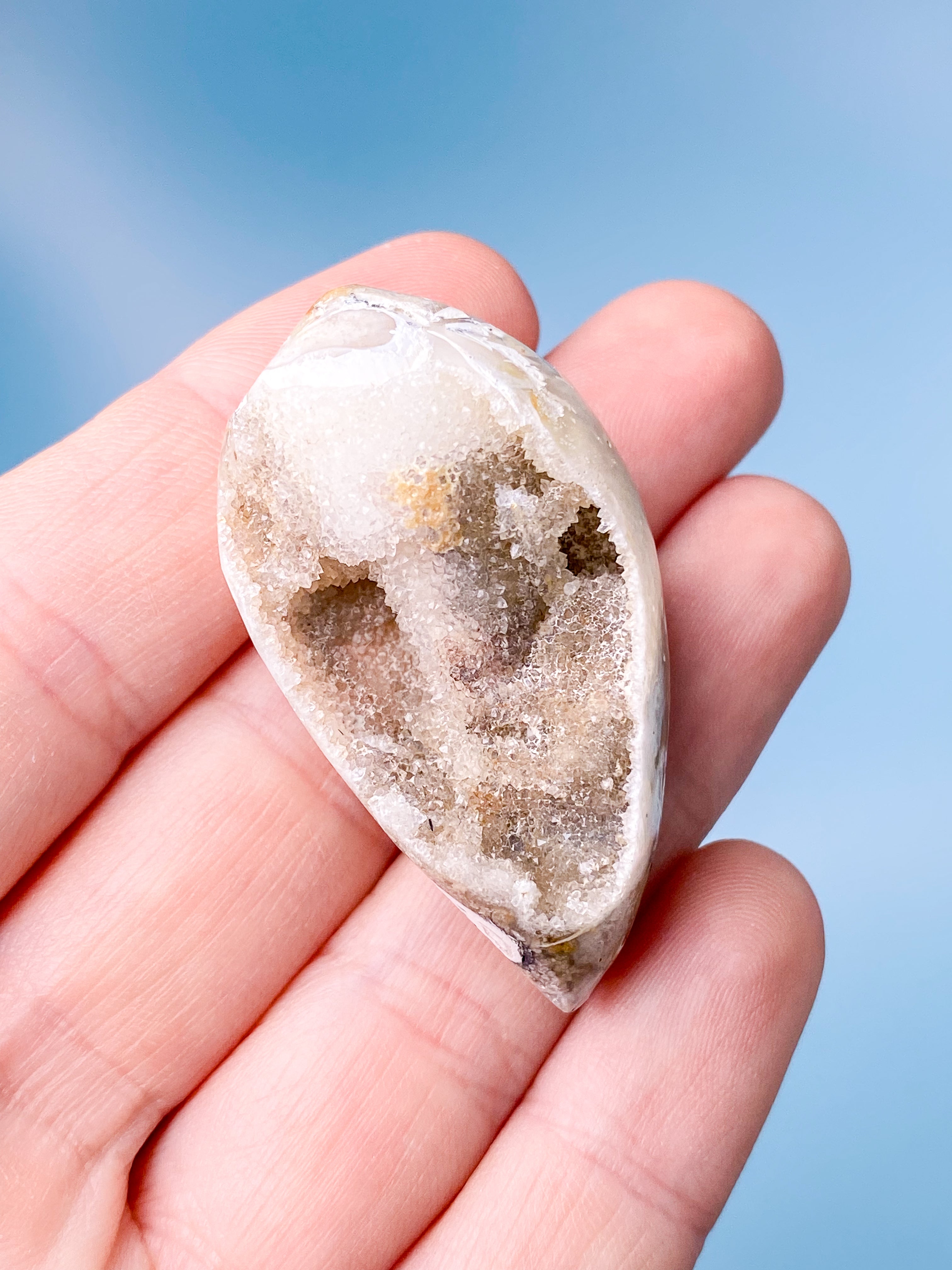 Druzy Konkylie Fossil (Nr. 17)