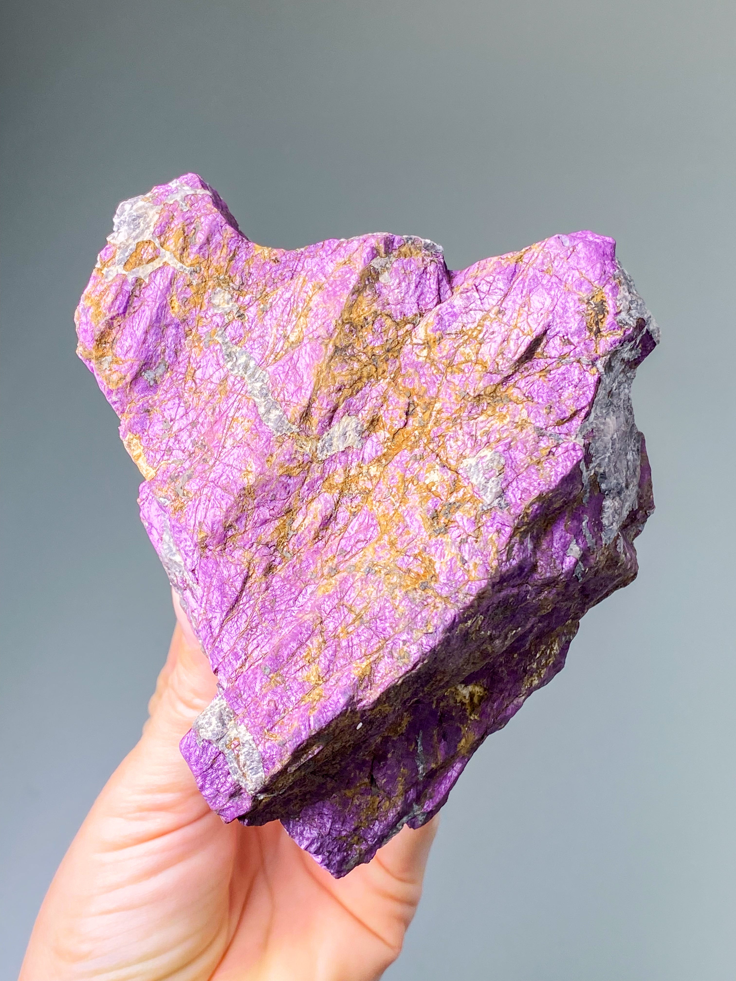 Purpuritpolerad (nr 1)