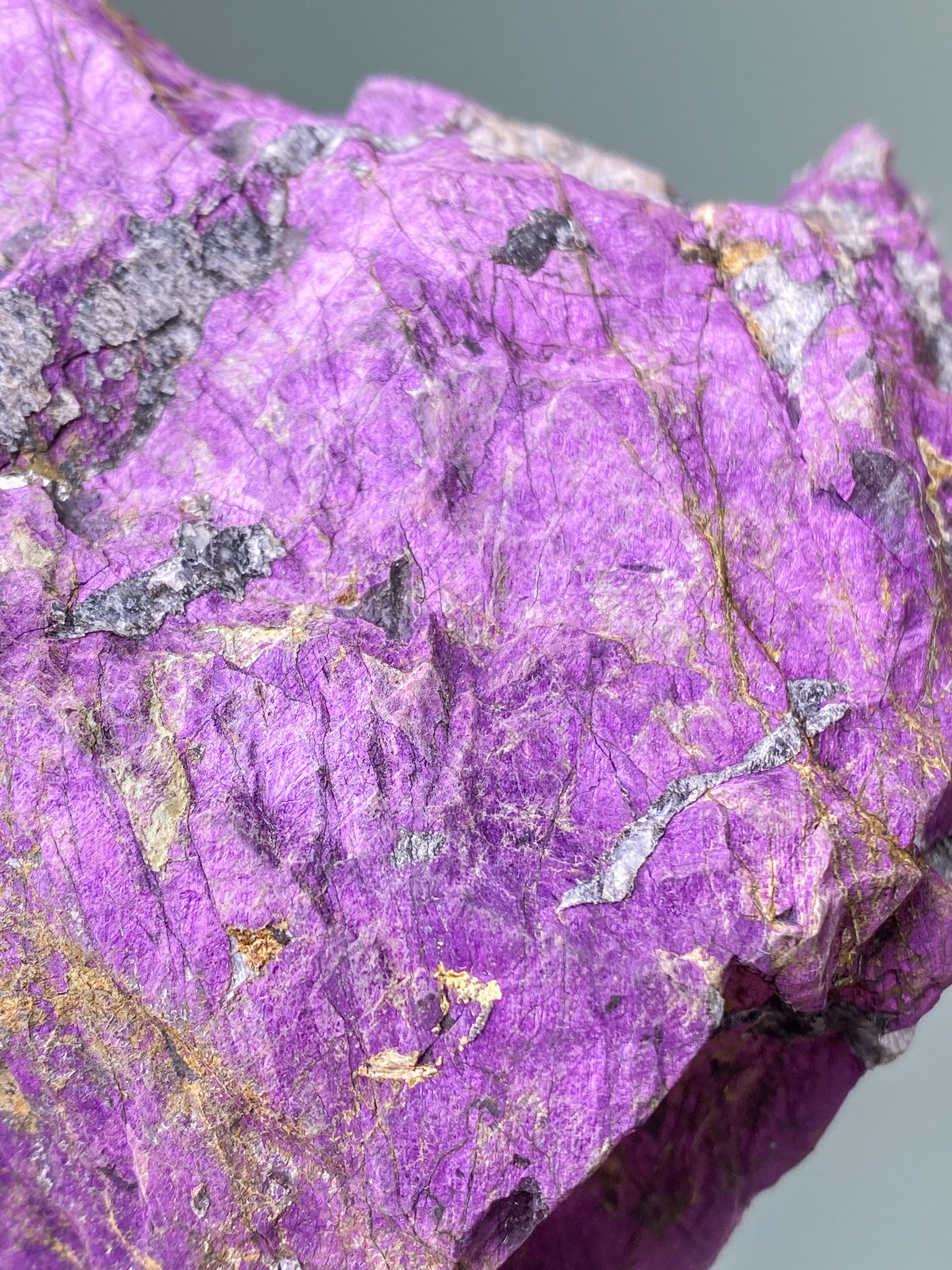 Purpuritpolerad (nr 1)