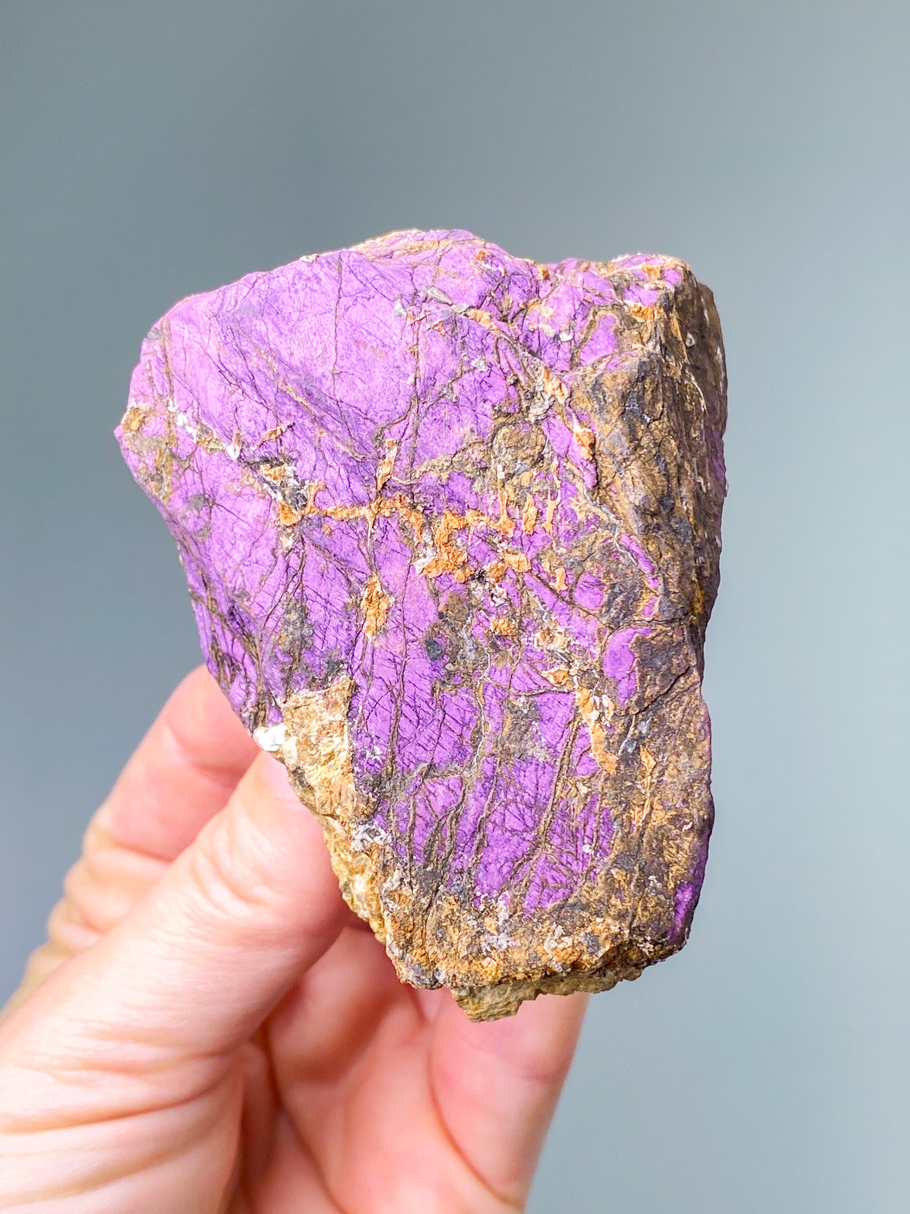 Purpuritpolerad (nr 1)