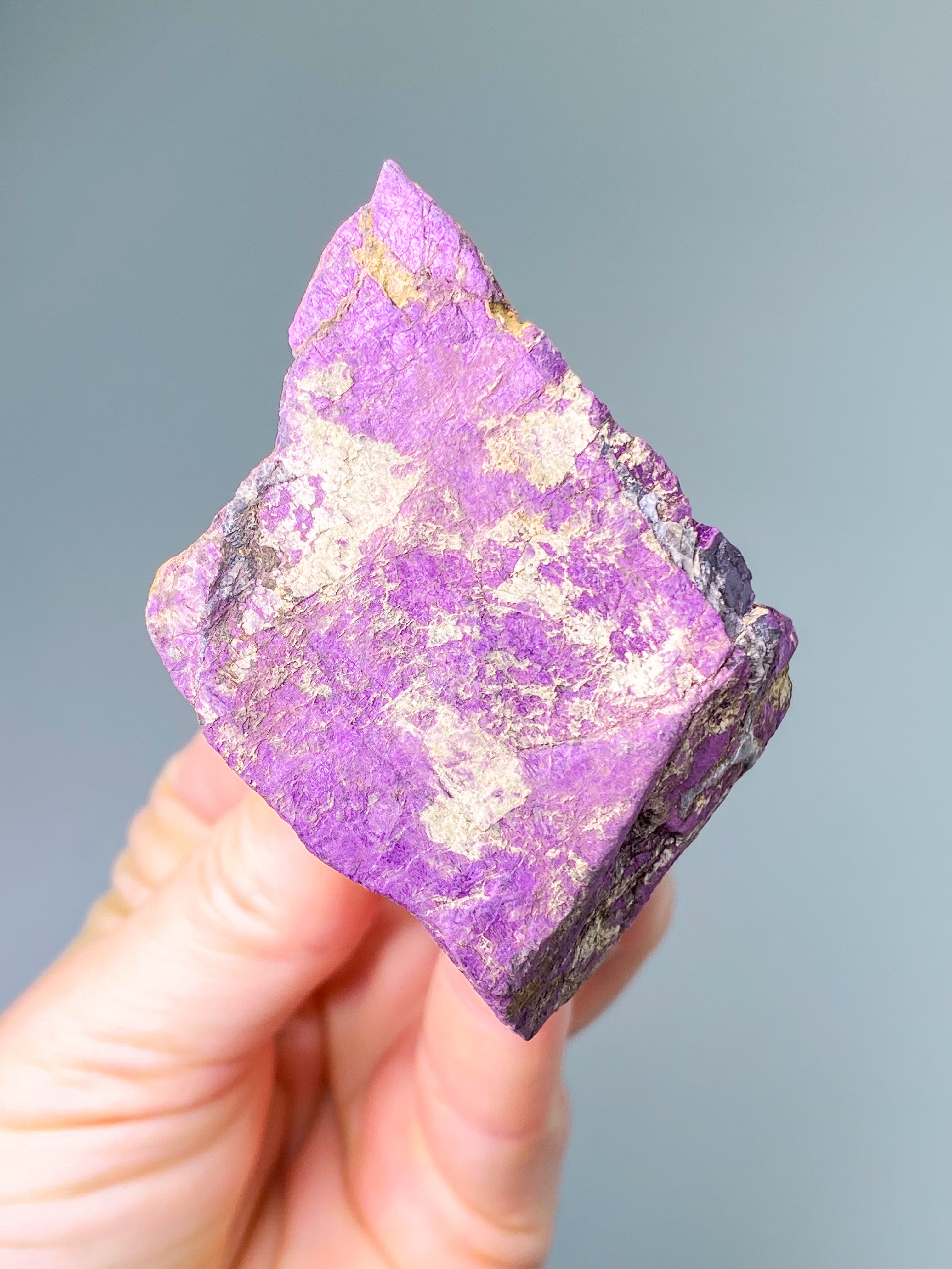 Purpuritpolerad (nr 1)