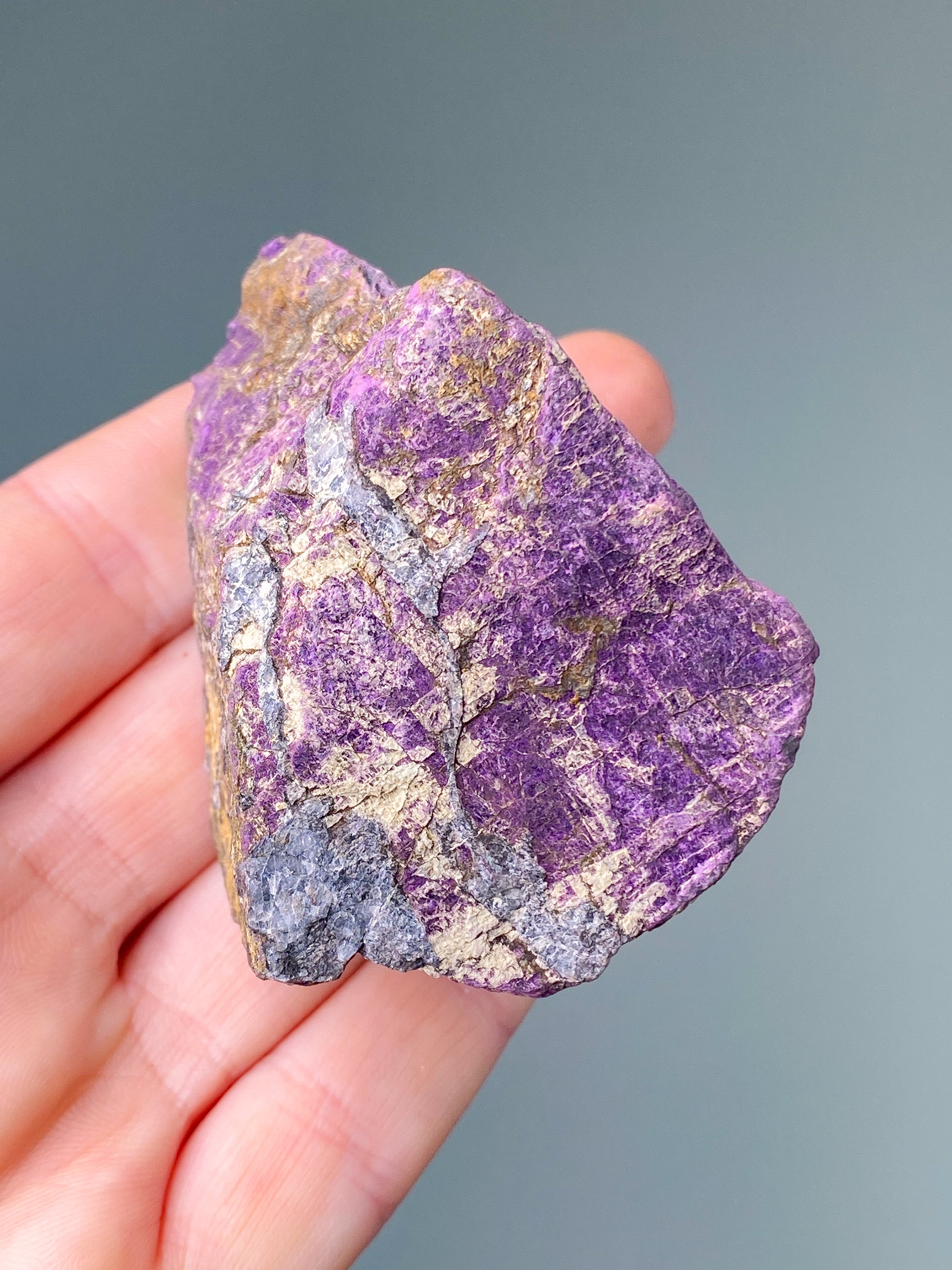 Purpuritpolerad (nr 1)