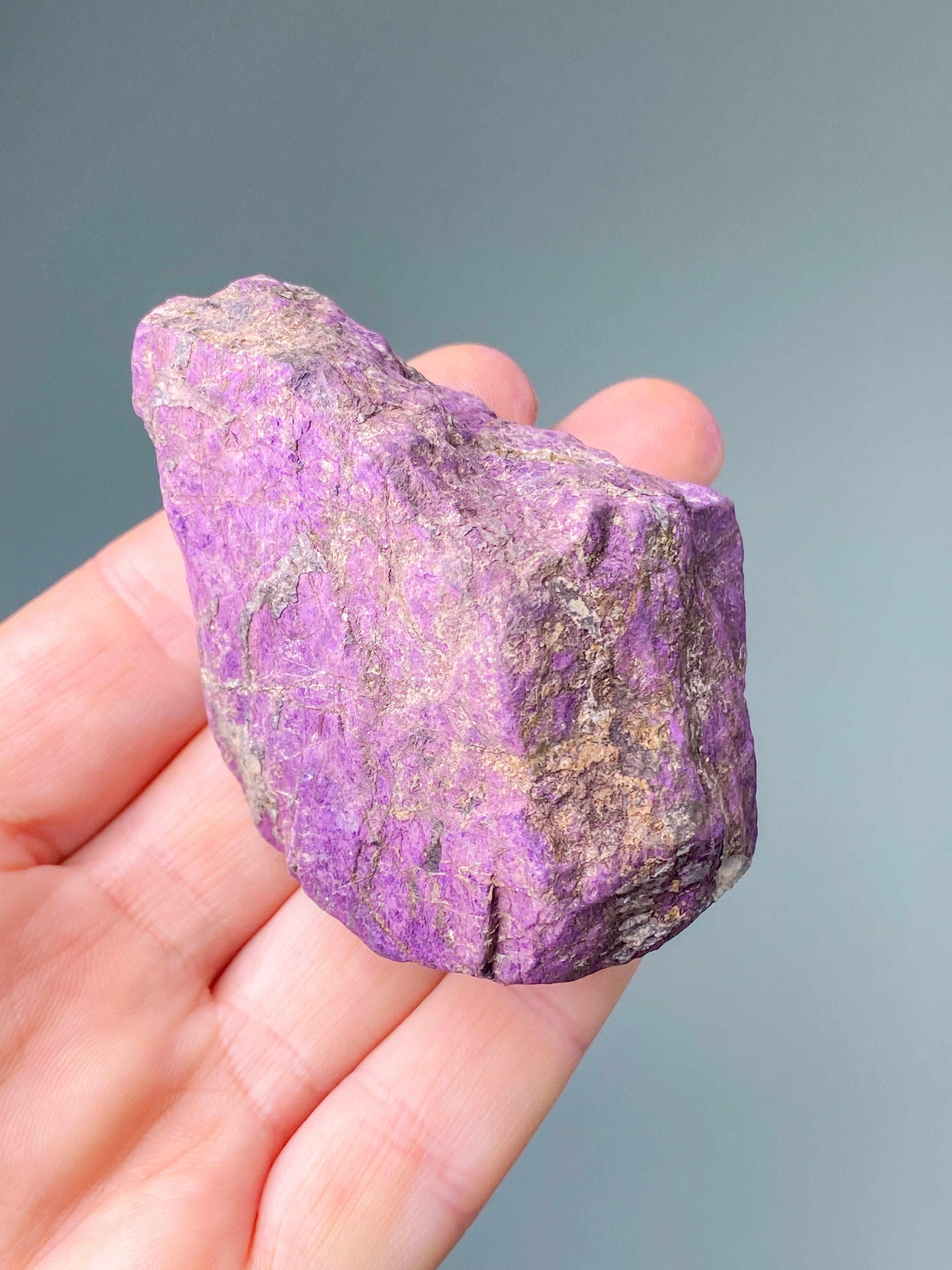 Purpuritpolerad (nr 1)