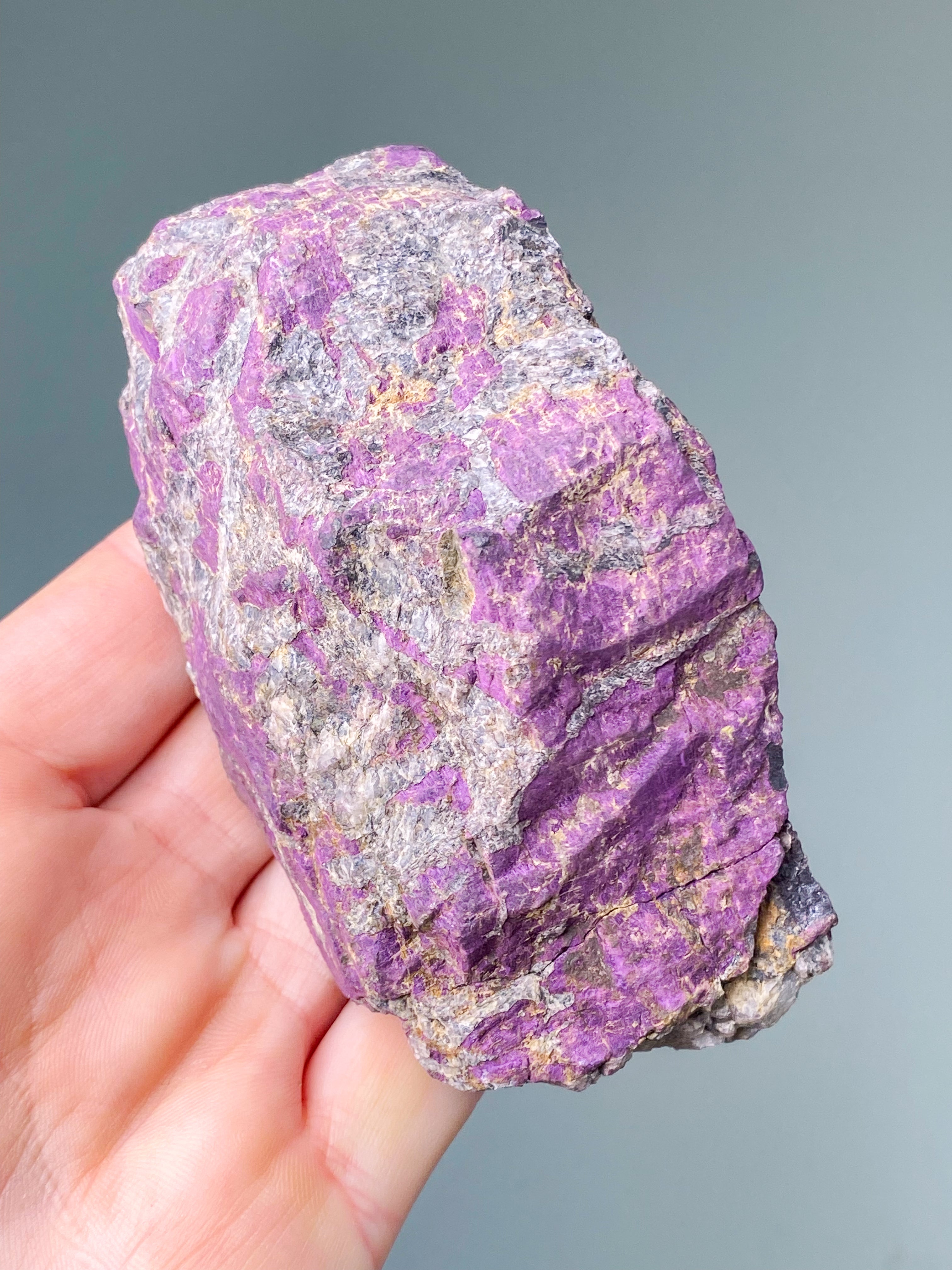 Purpuritpolerad (nr 1)