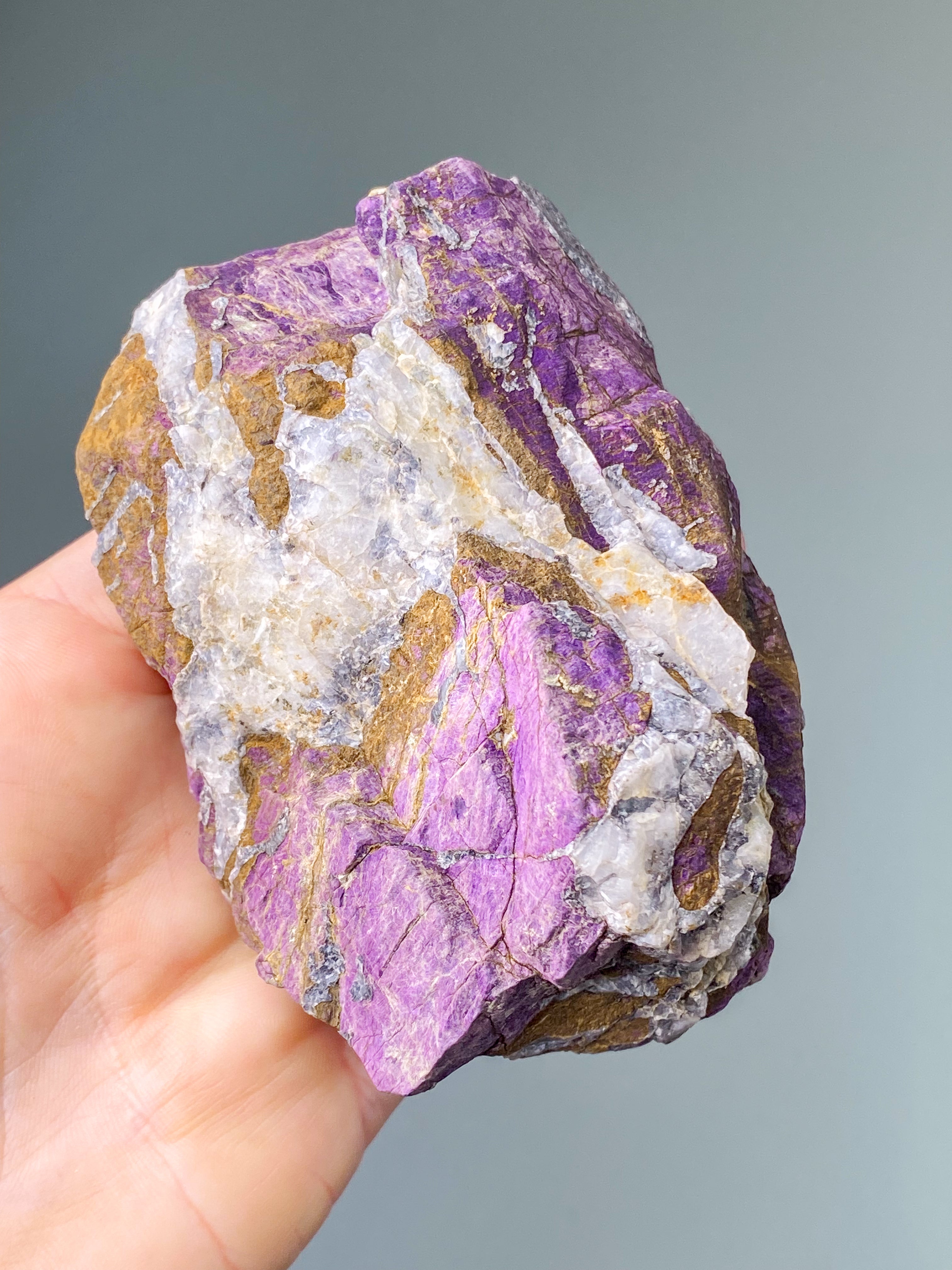 Purpuritpolerad (nr 1)