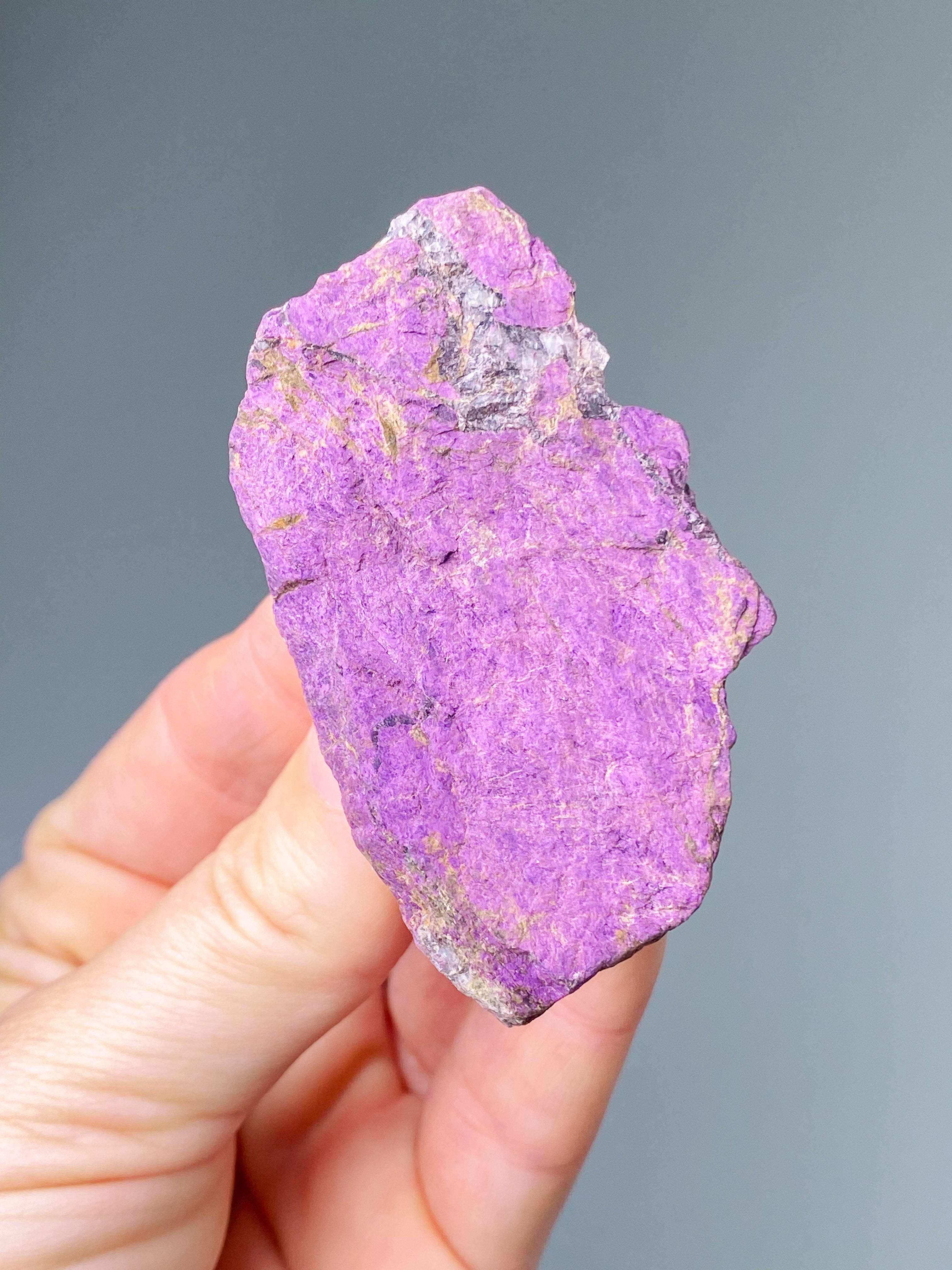 Purpuritpolerad (nr 1)