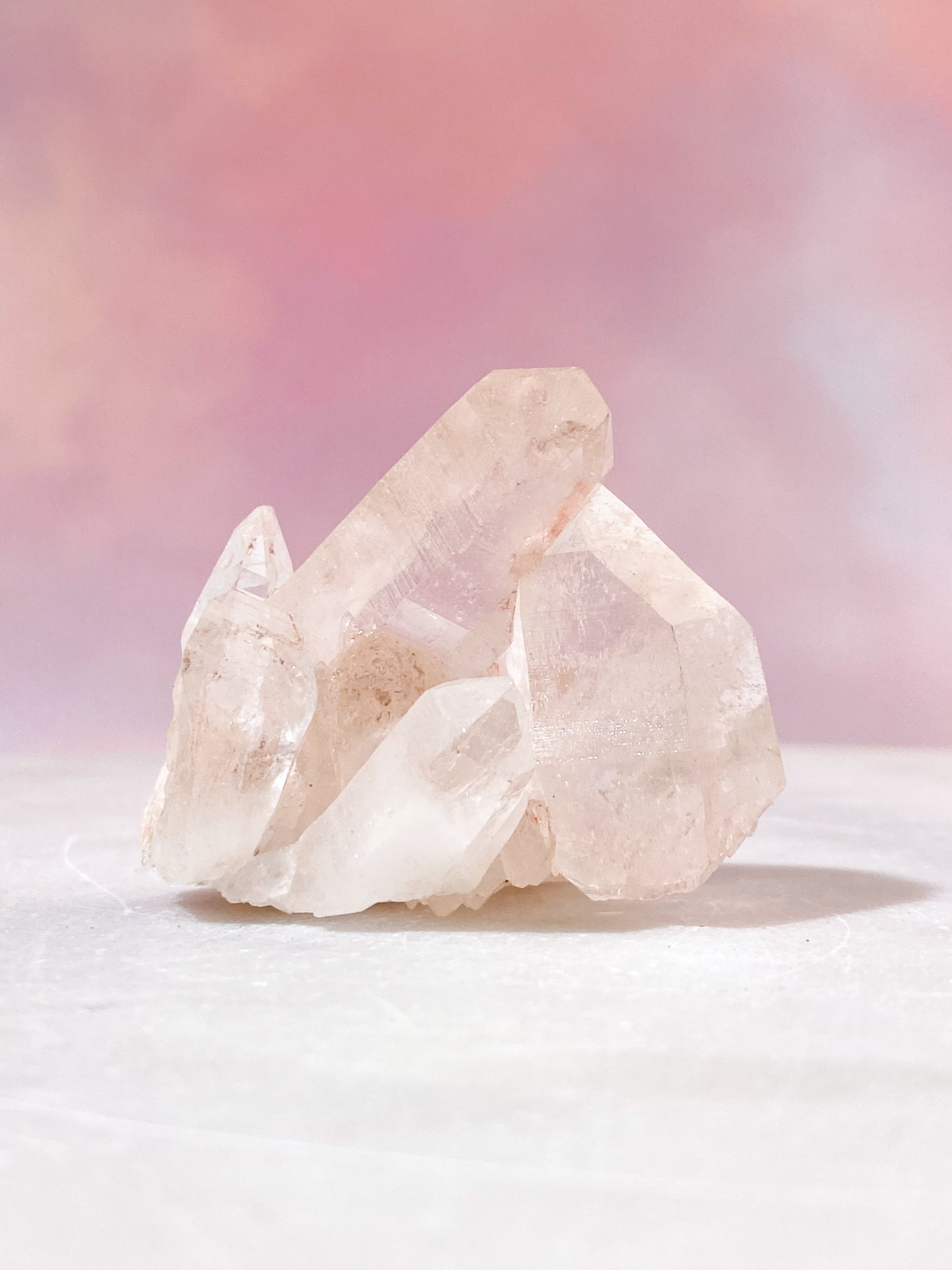 Pink Himalaya Klynge (Nr. 119)