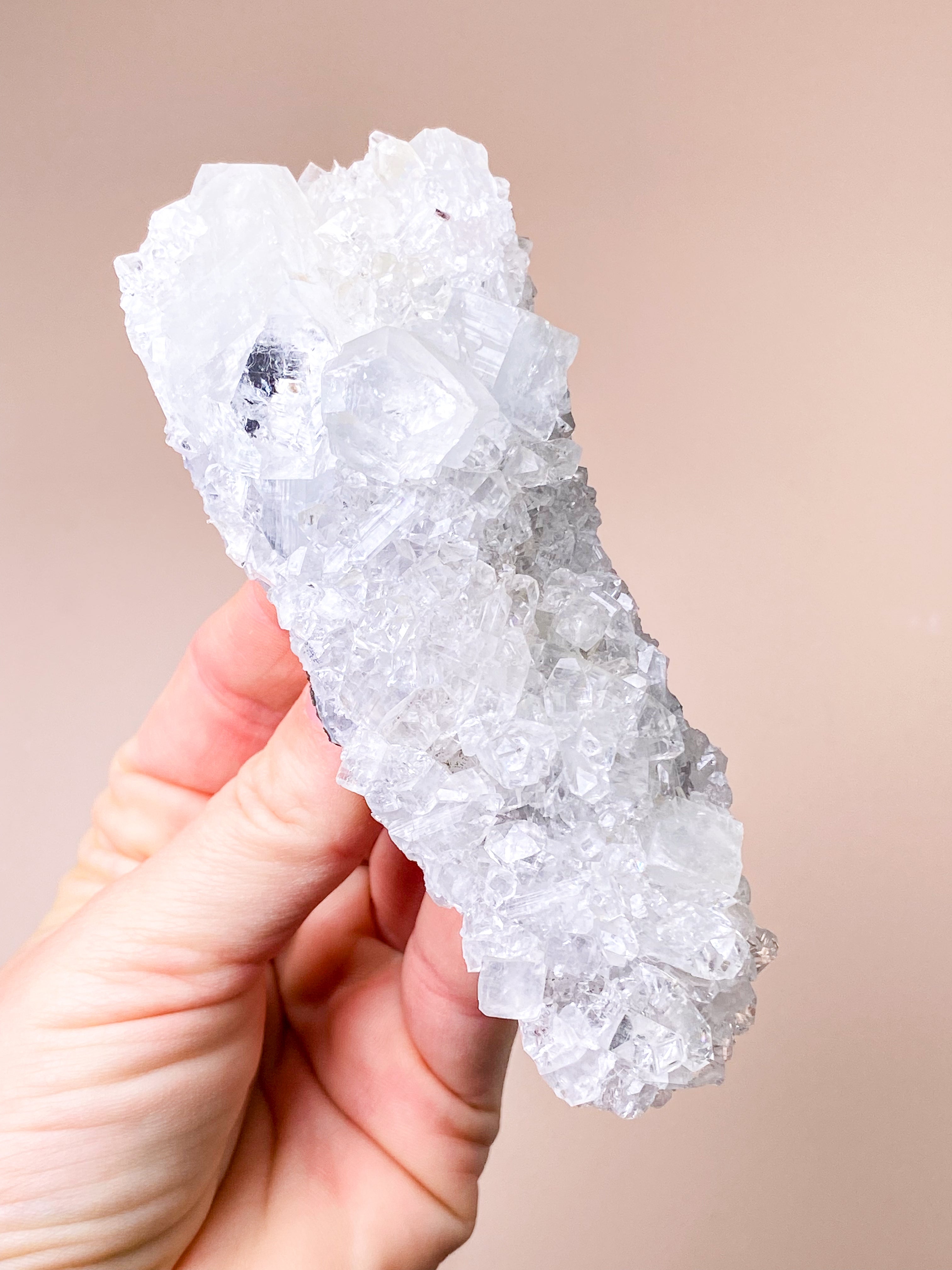 Apofyllitkluster (nr 81)