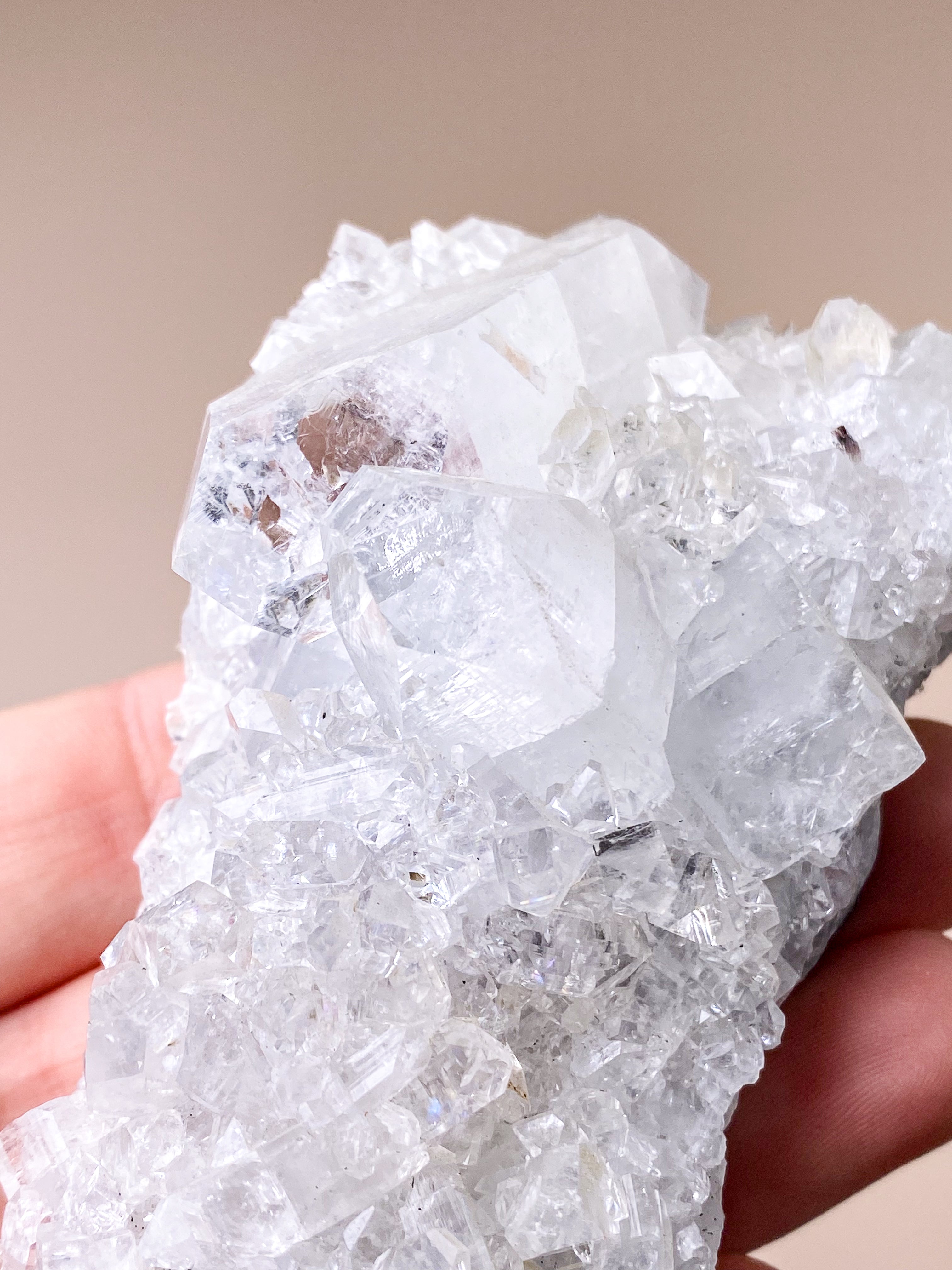 Apofyllitkluster (nr 81)