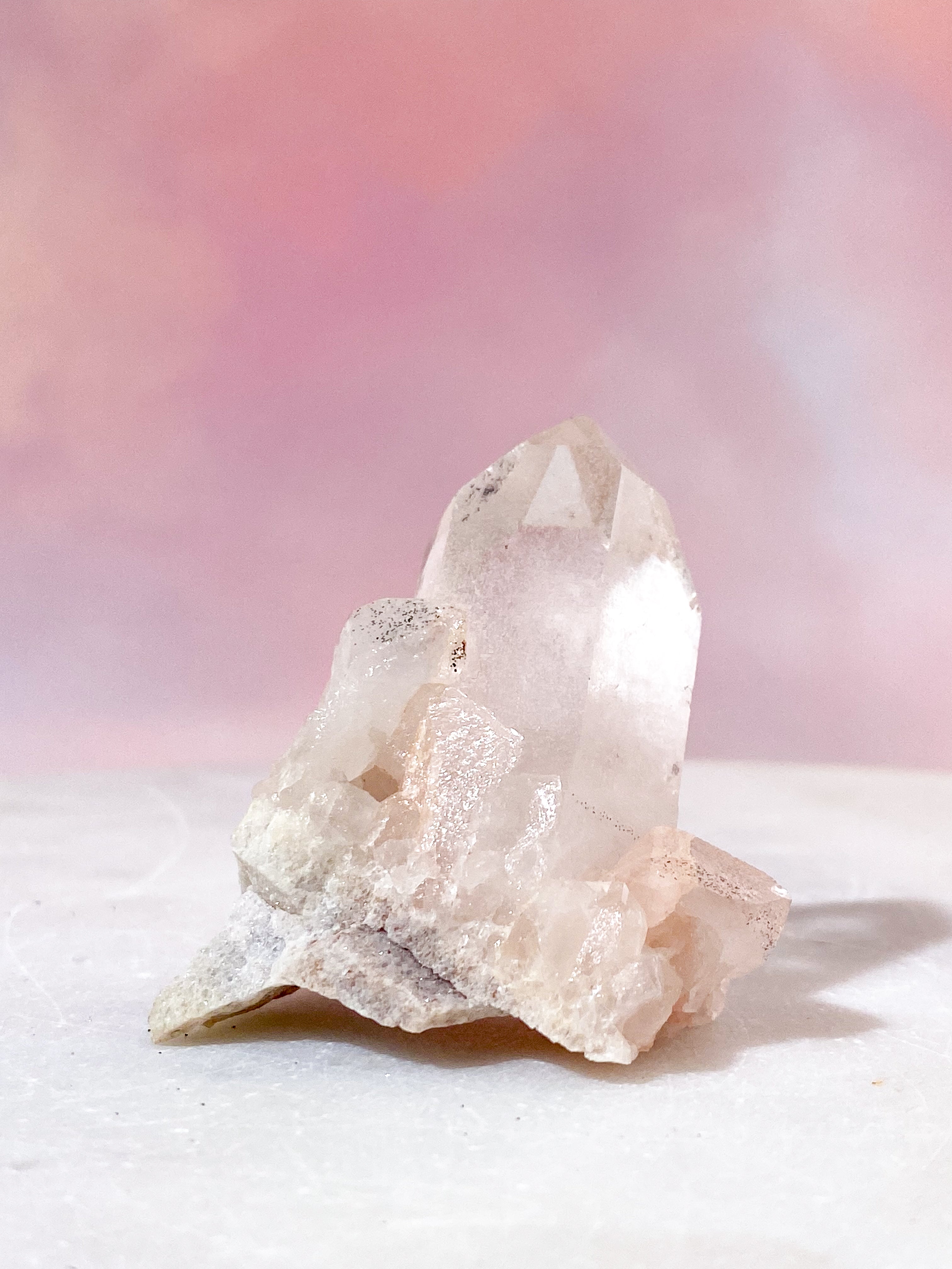 Pink Himalaya Klynge (Nr. 135)