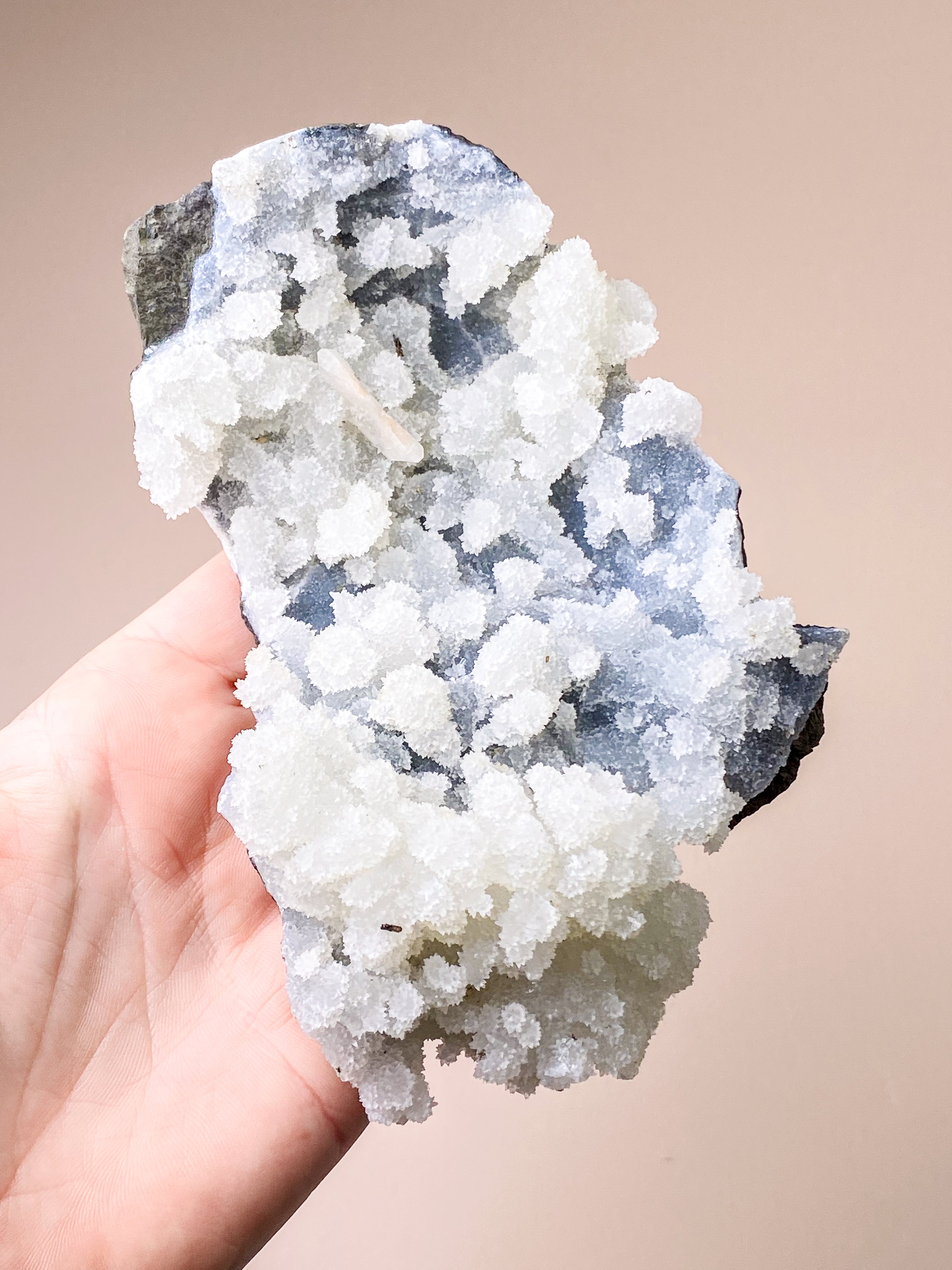 Apofyllitkluster (nr 81)