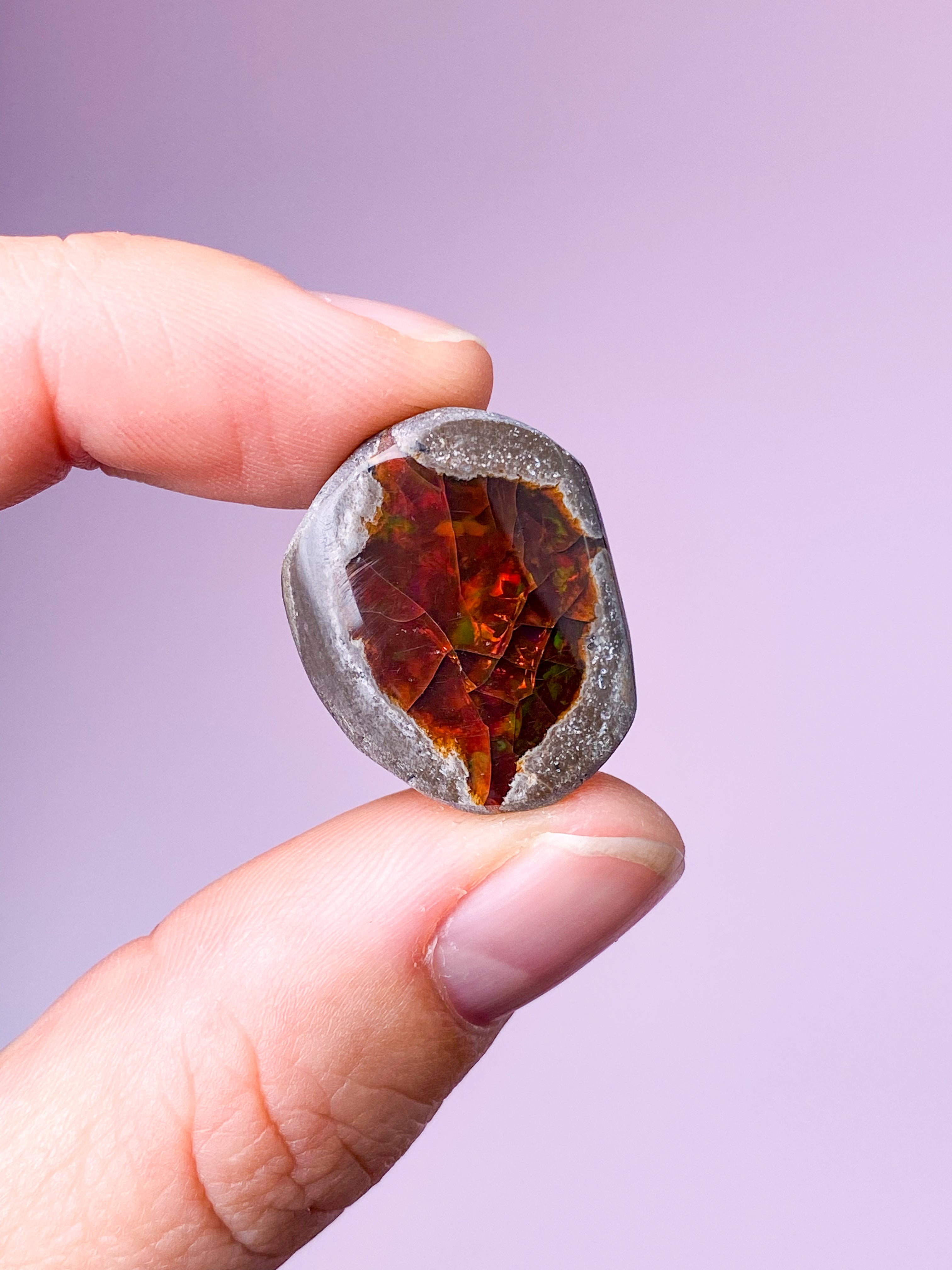Etiopisk Chokolade Opal  (Nr. 2)