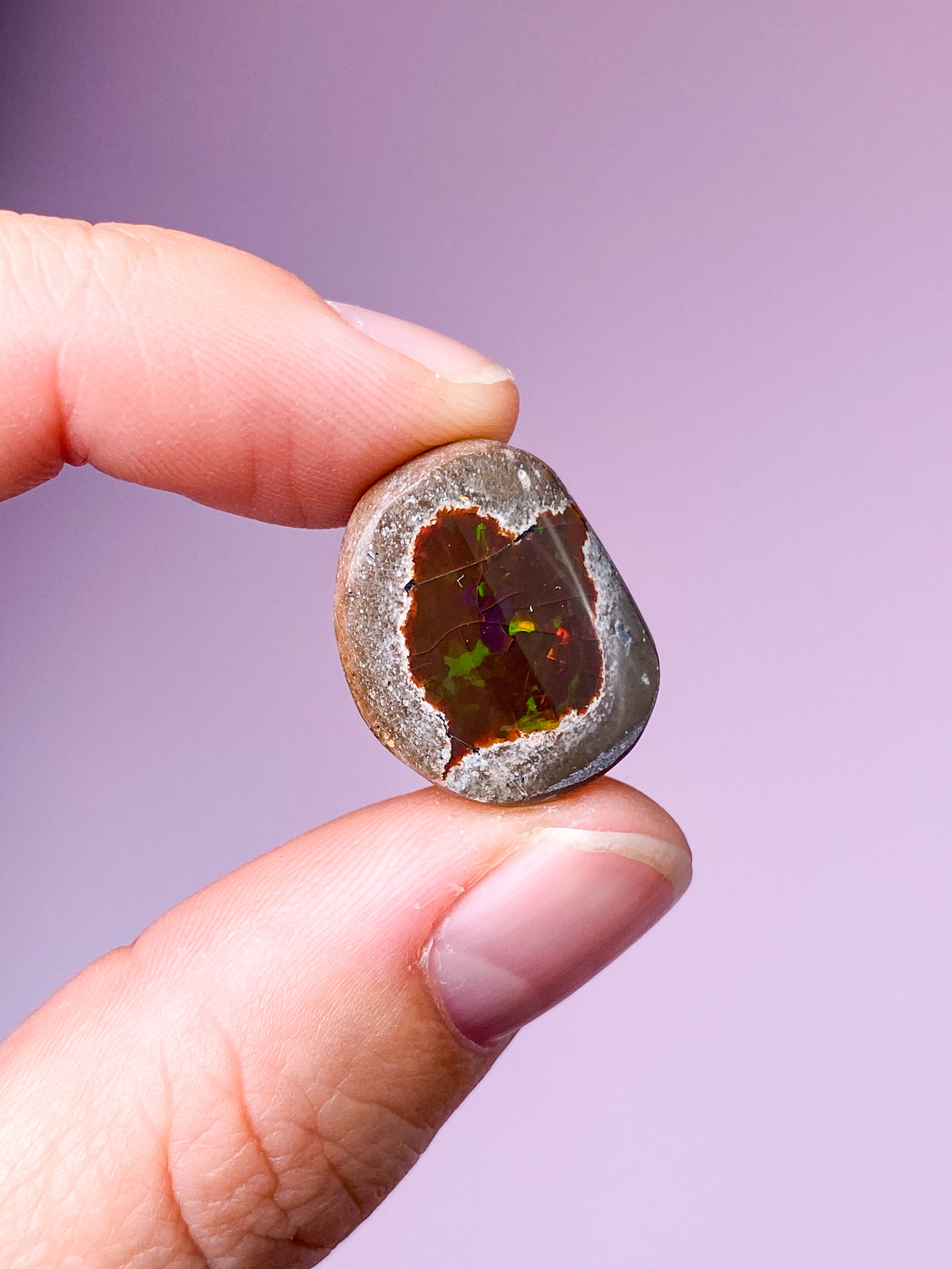 Etiopisk Chokolade Opal  (Nr. 3)