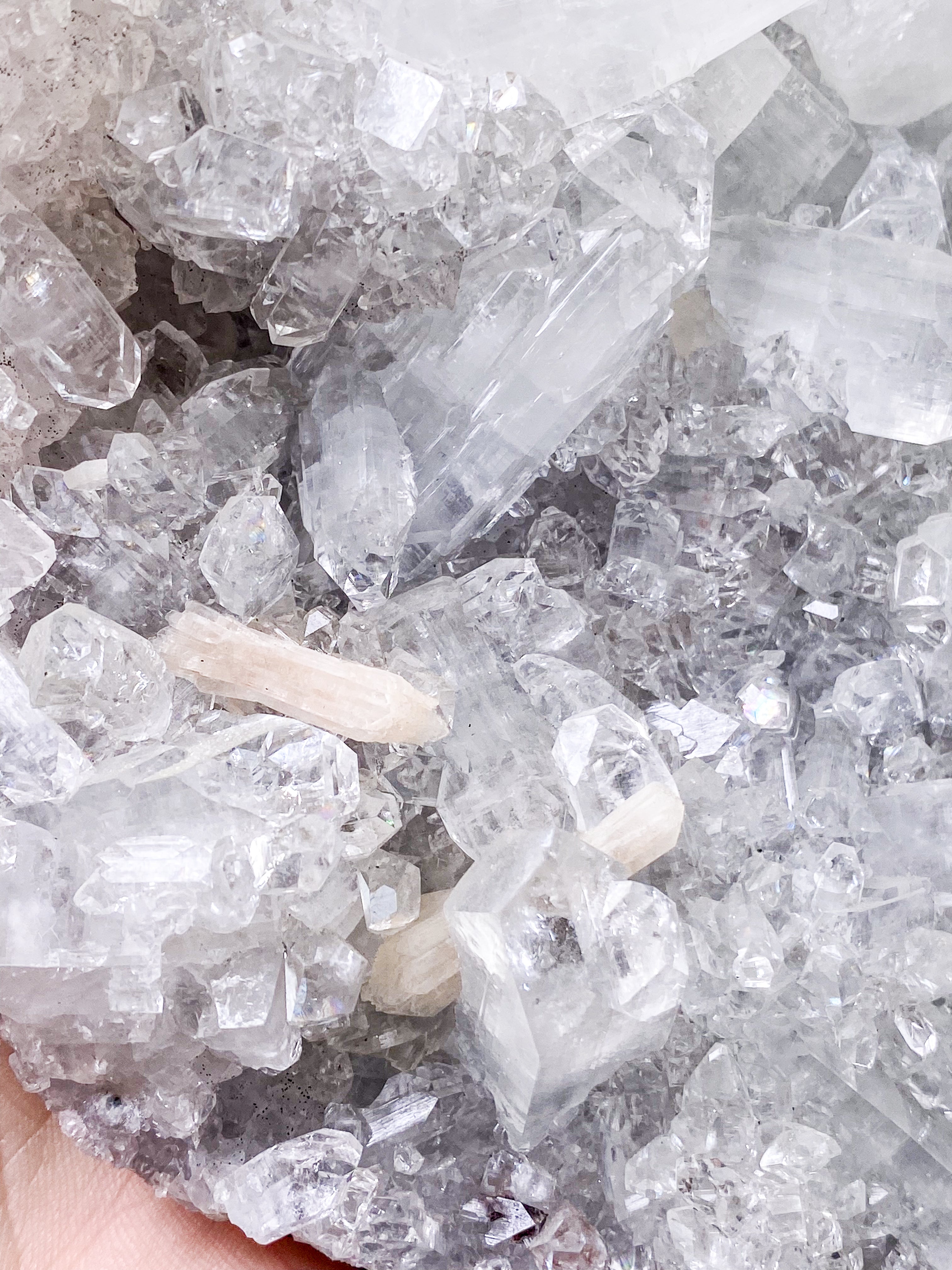 Apofyllitkluster (nr 81)