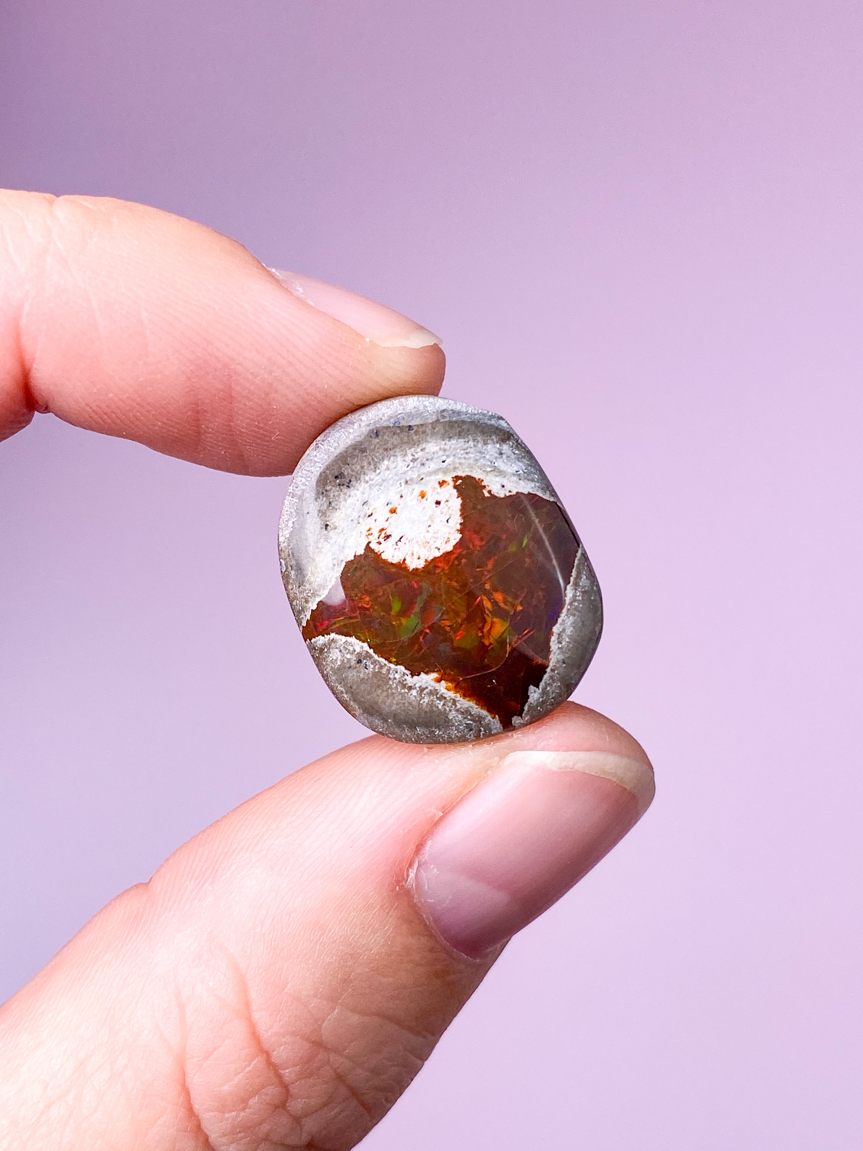 Etiopisk Chokolade Opal  (Nr. 6)