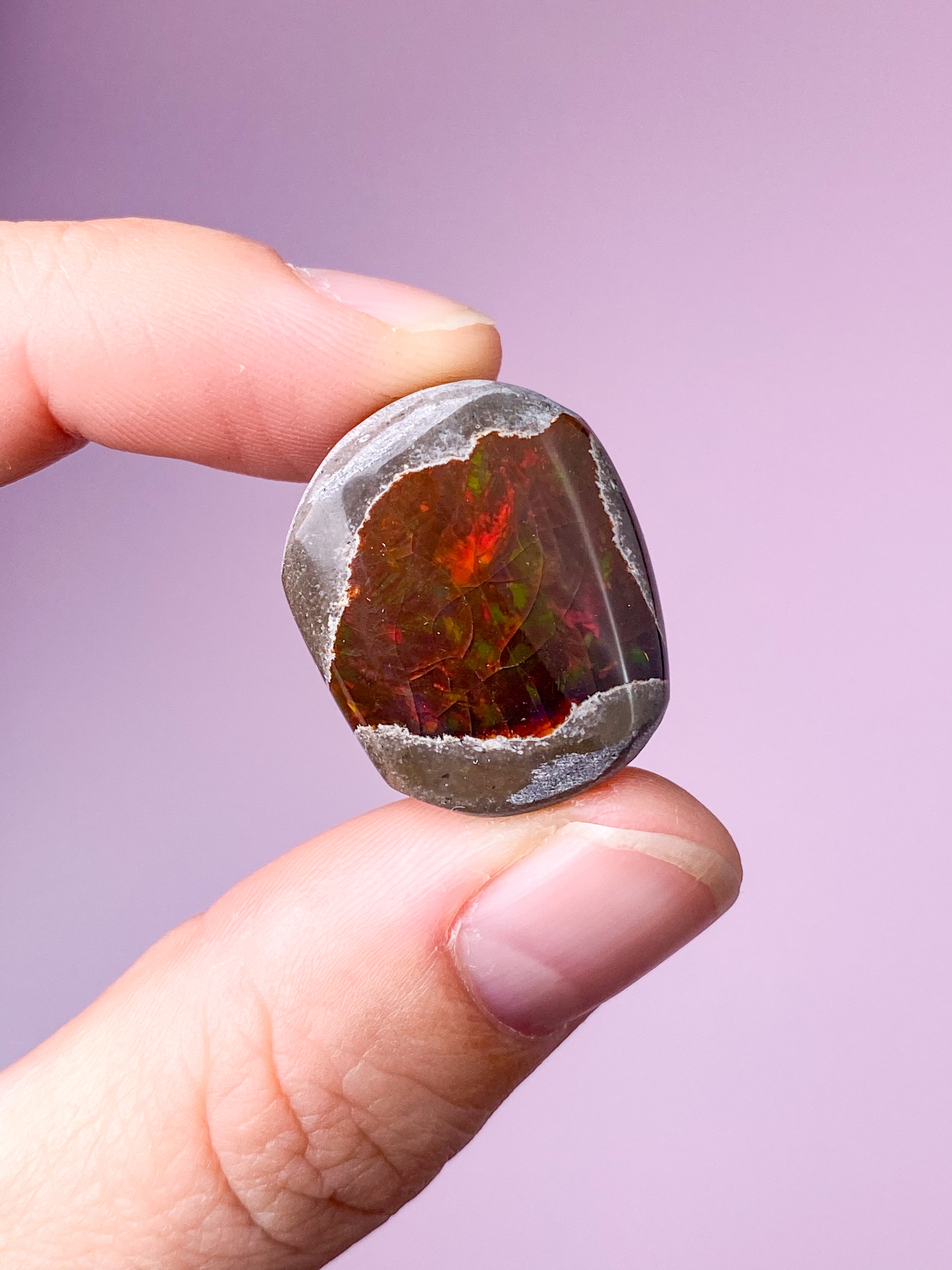Etiopisk Chokolade Opal (Nr. 8)