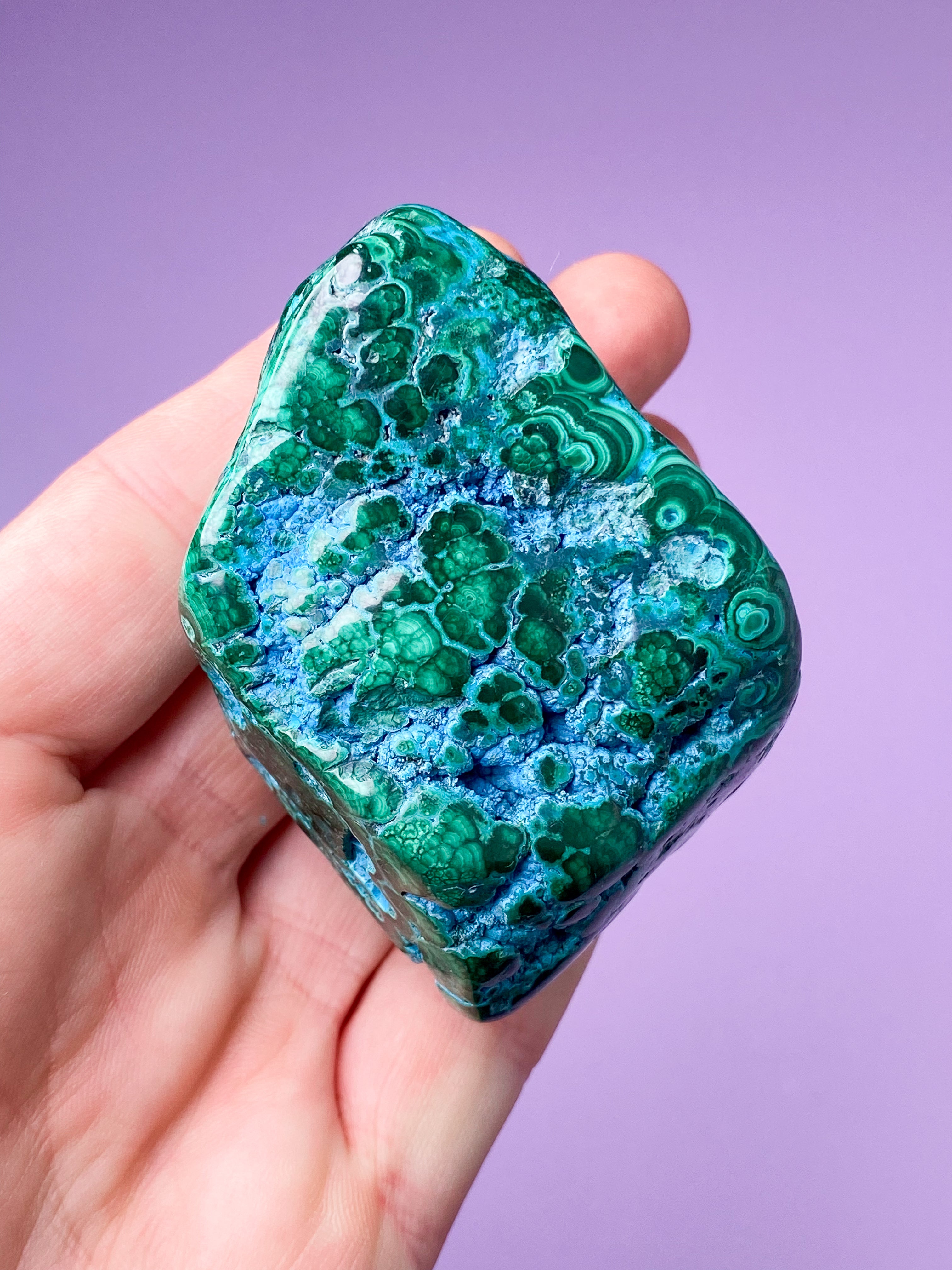 Malacolla Freeform (Nr. 10)