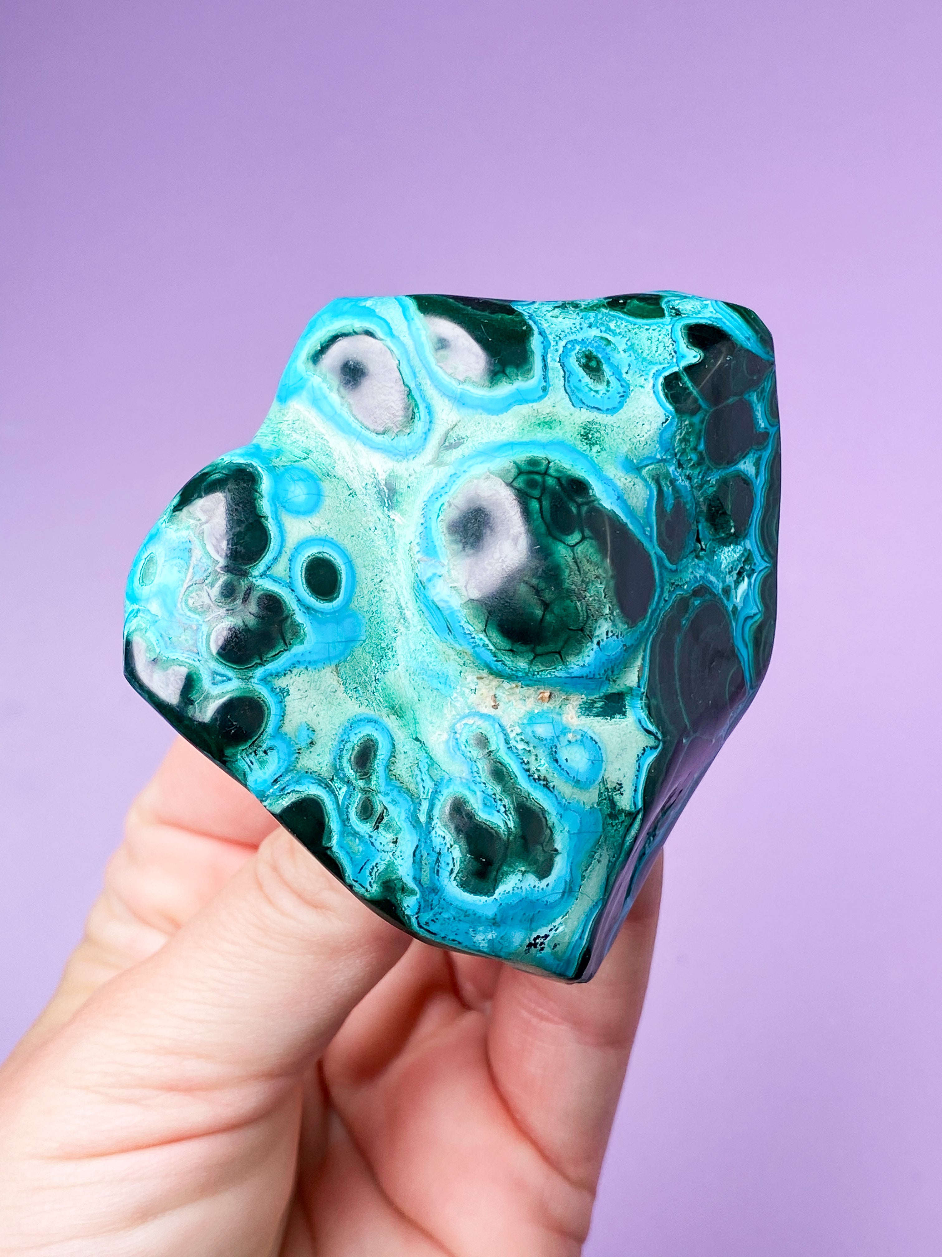 Malacolla Freeform (Nr. 12)
