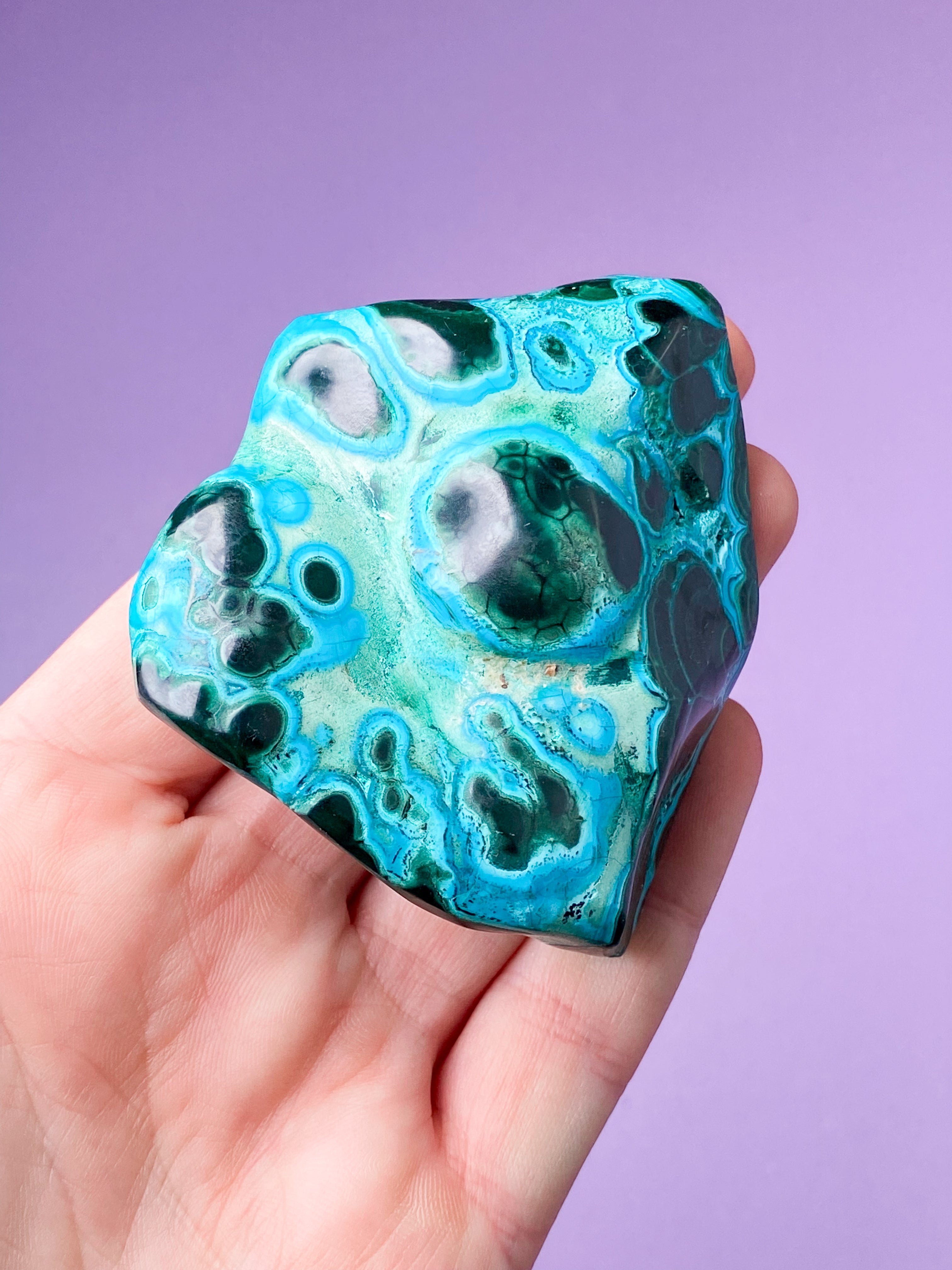 Malacolla Freeform (Nr. 12)