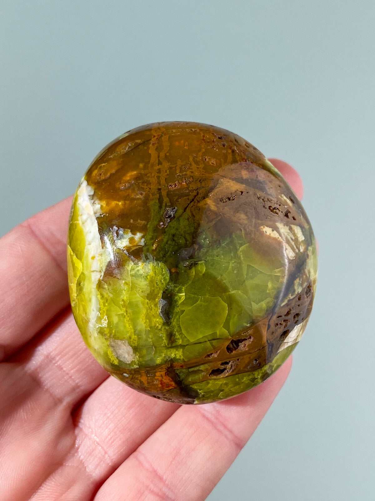 Grön opal palmsten (Nr. 1)
