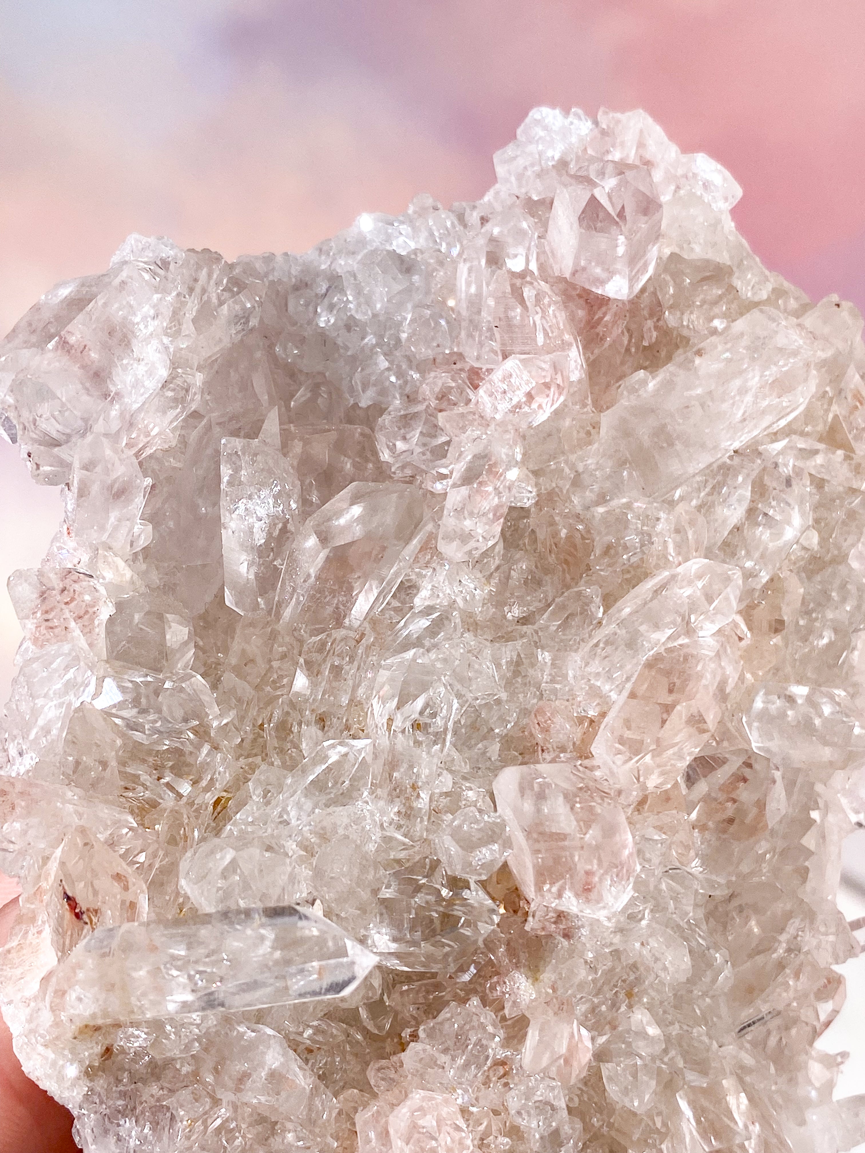 Pink Himalaya Klynge (Nr. 205)
