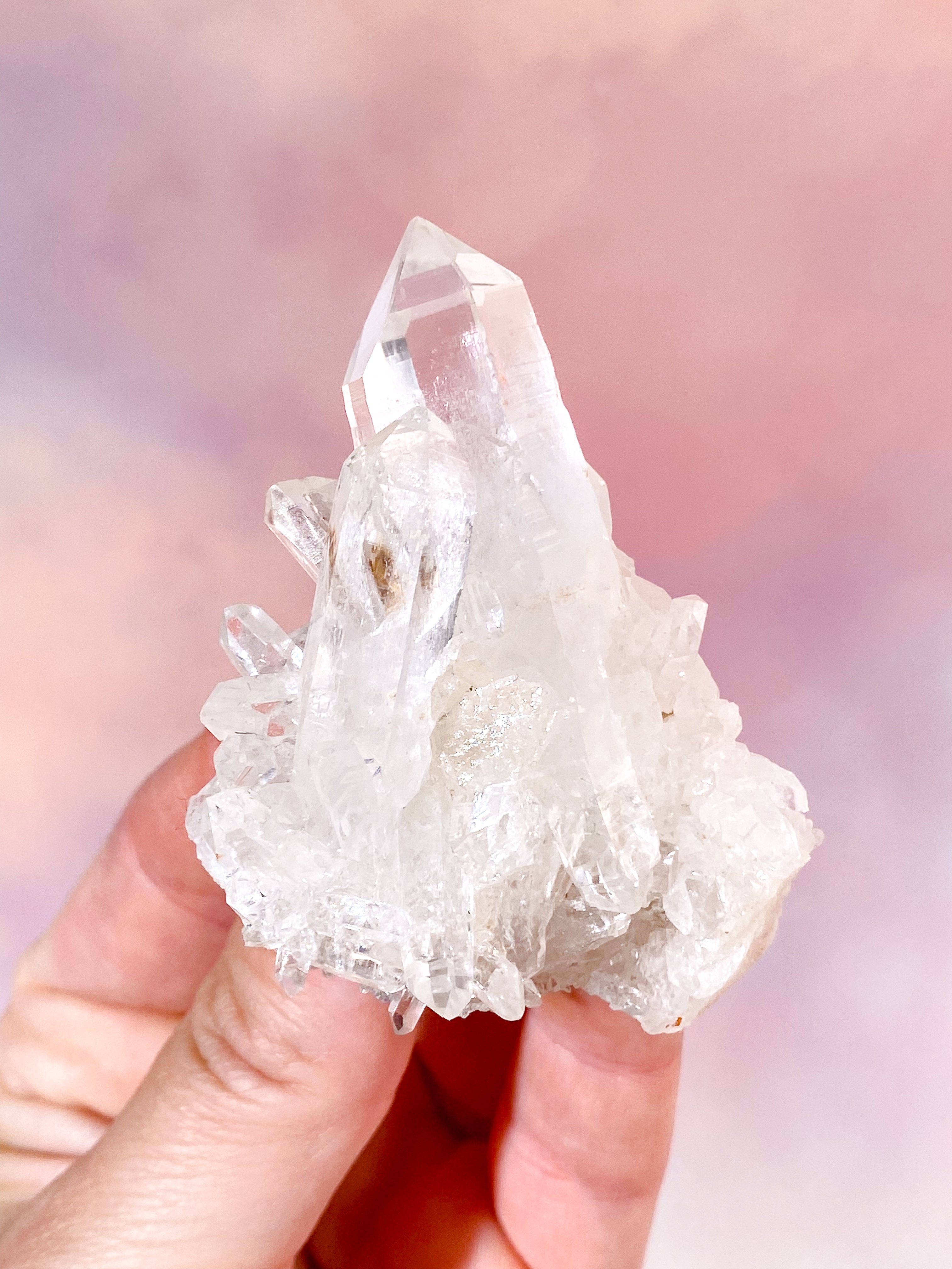 Pink Himalaya Klynge (Nr. 206)