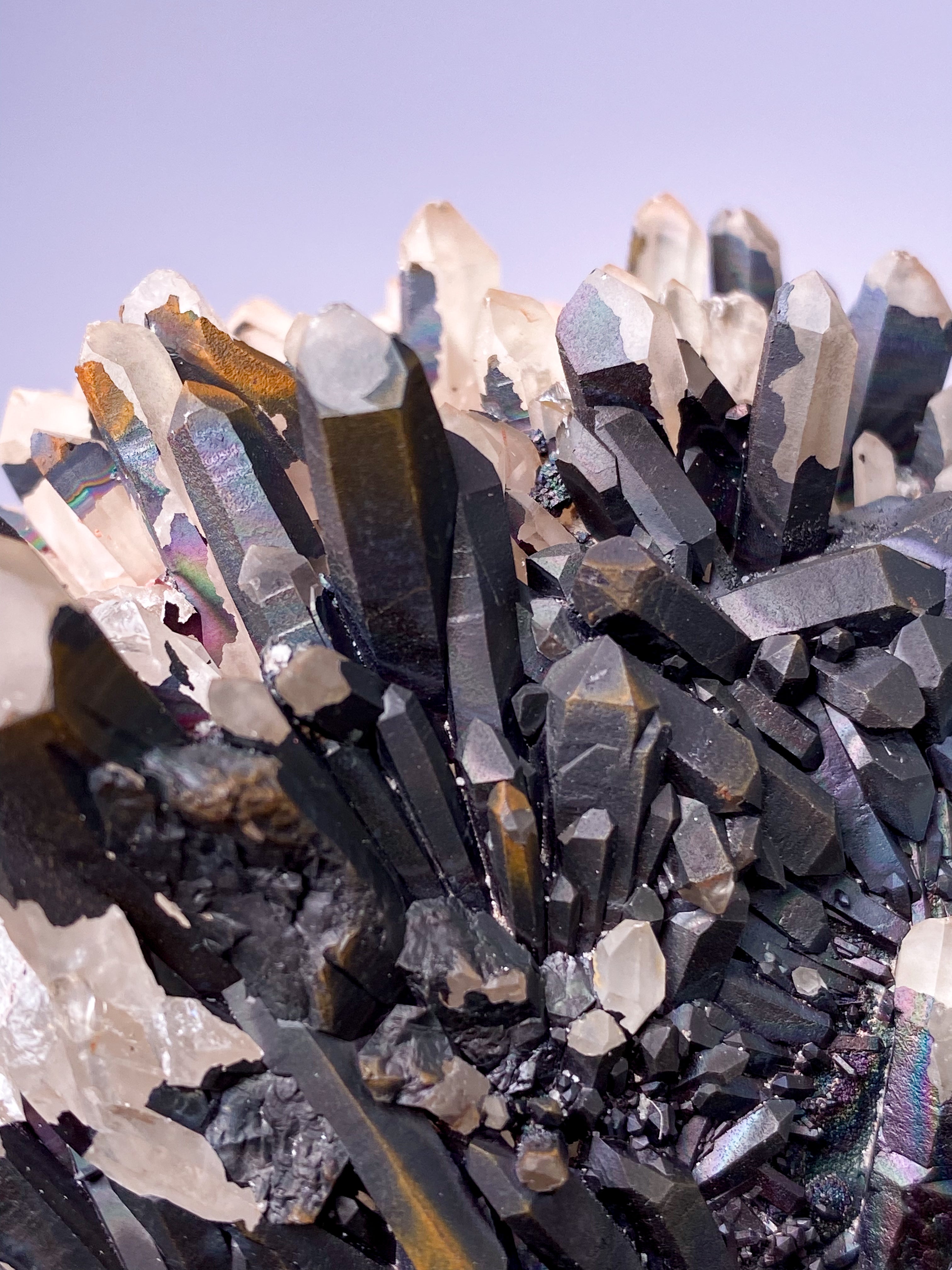 Svartnitekluster (nr 8)