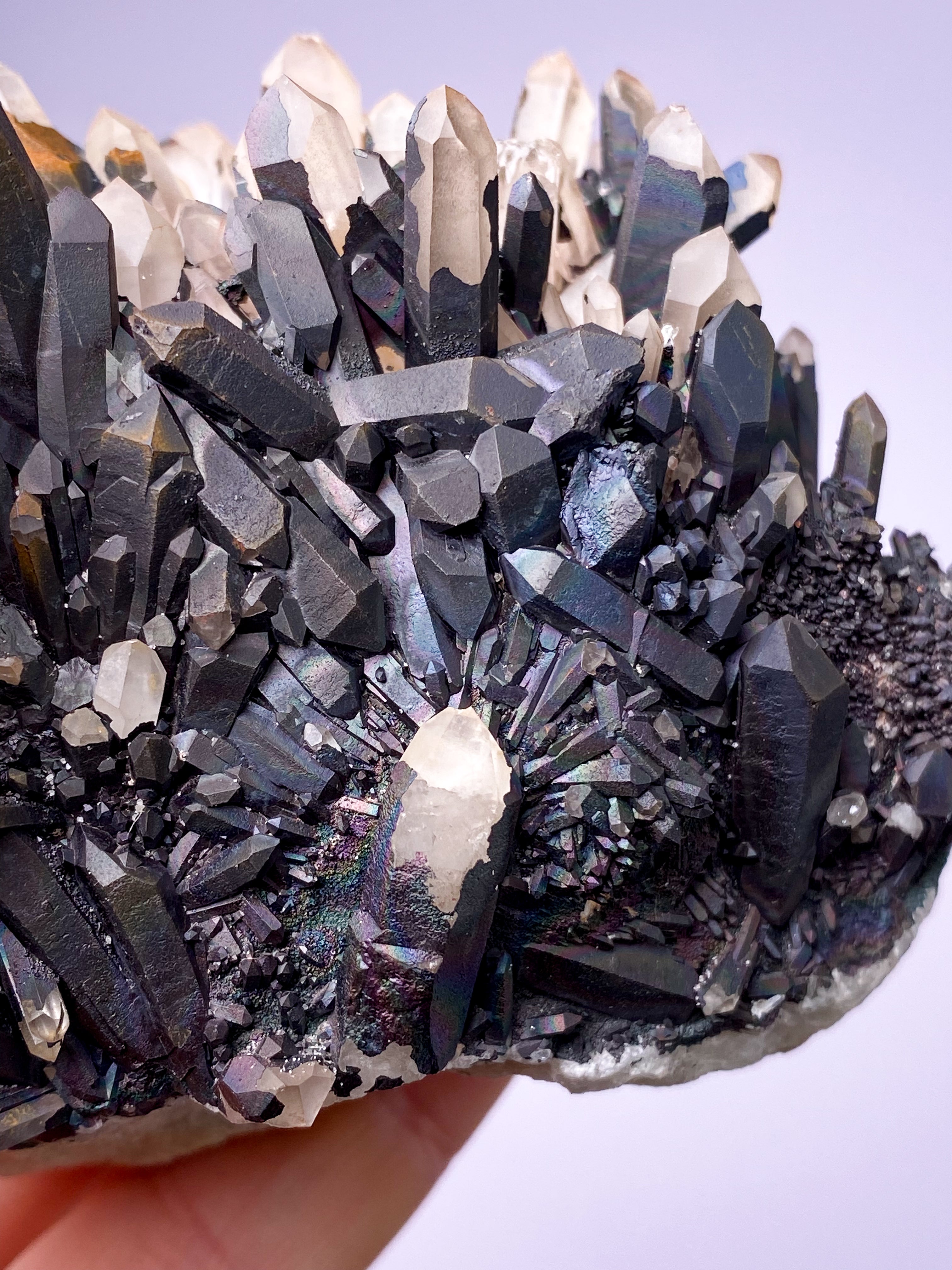 Svartnitekluster (nr 8)