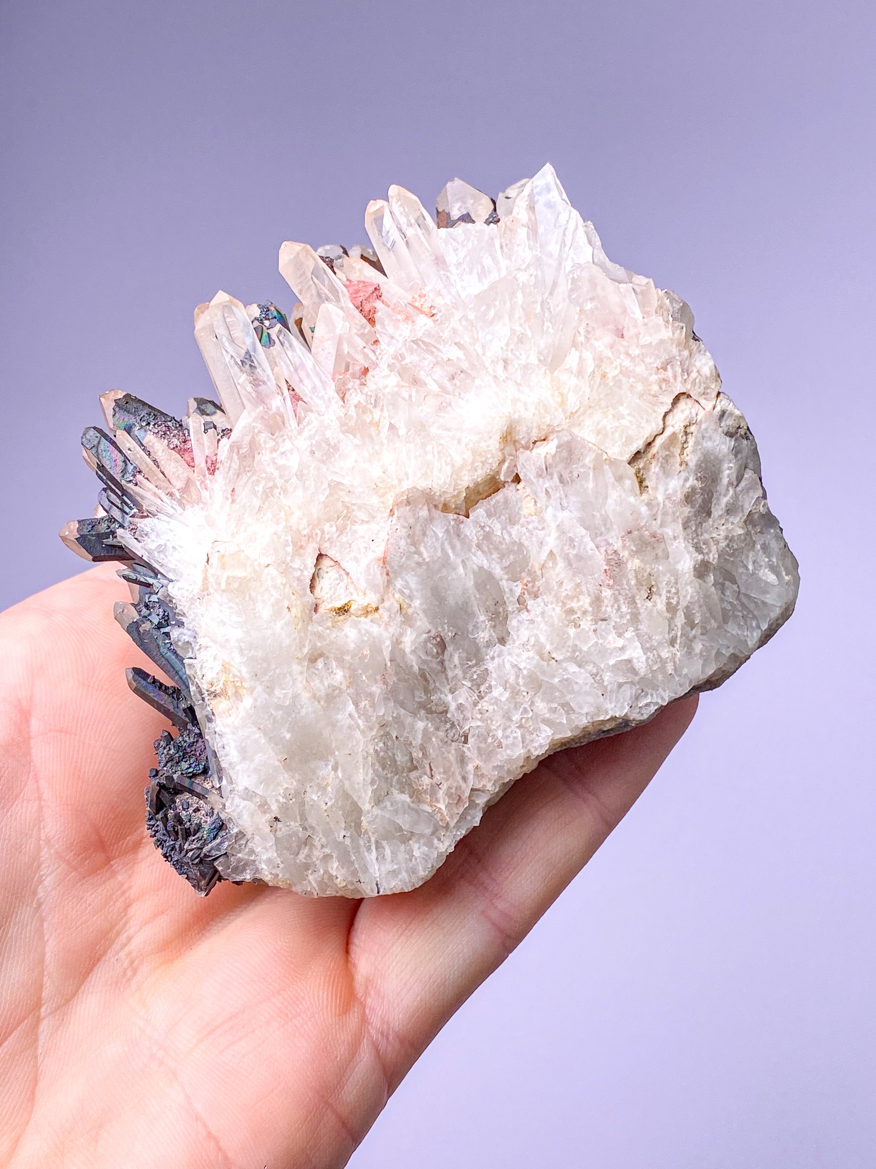 Svartnitekluster (nr 8)