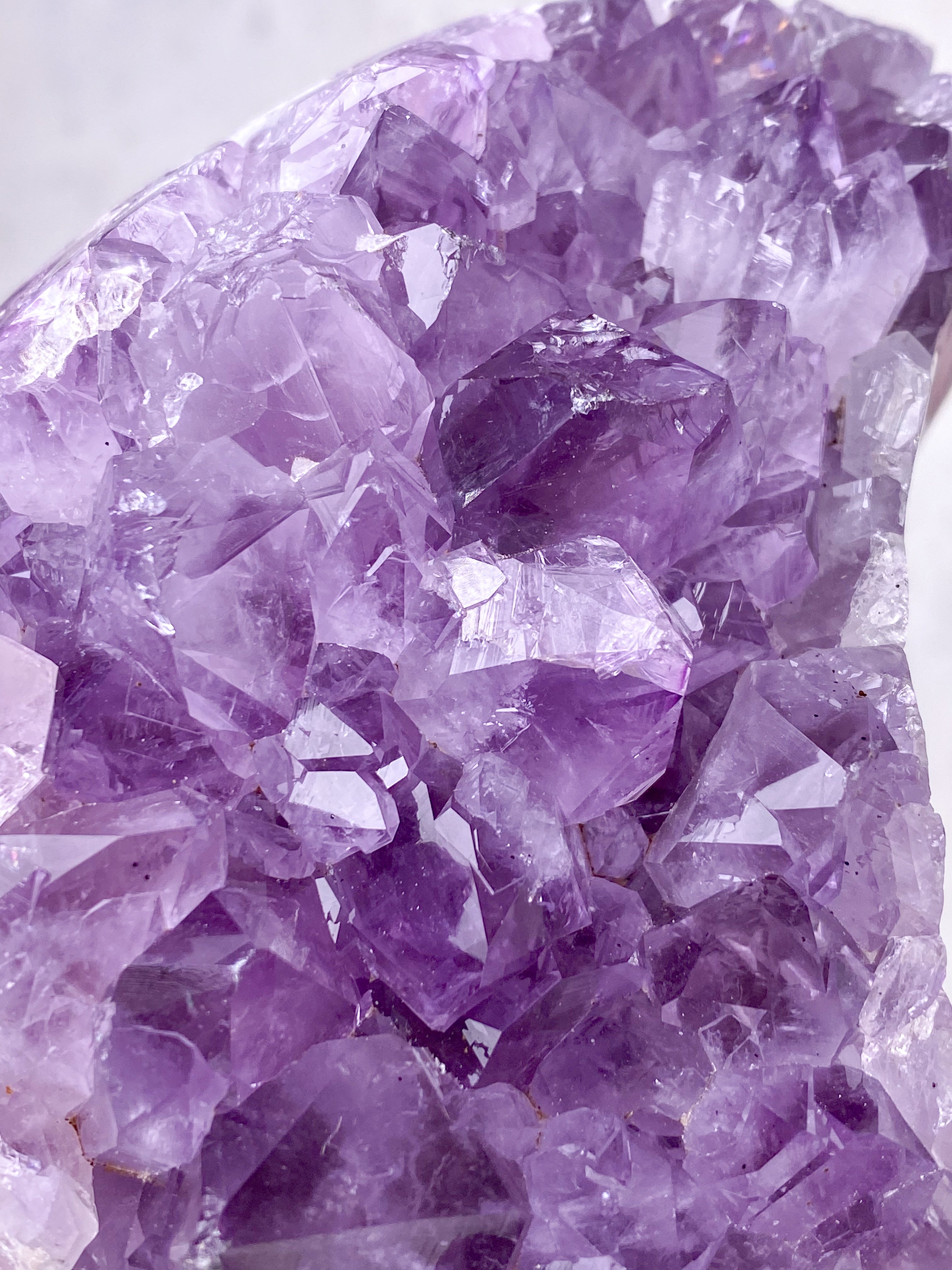 Amethyst ficksten