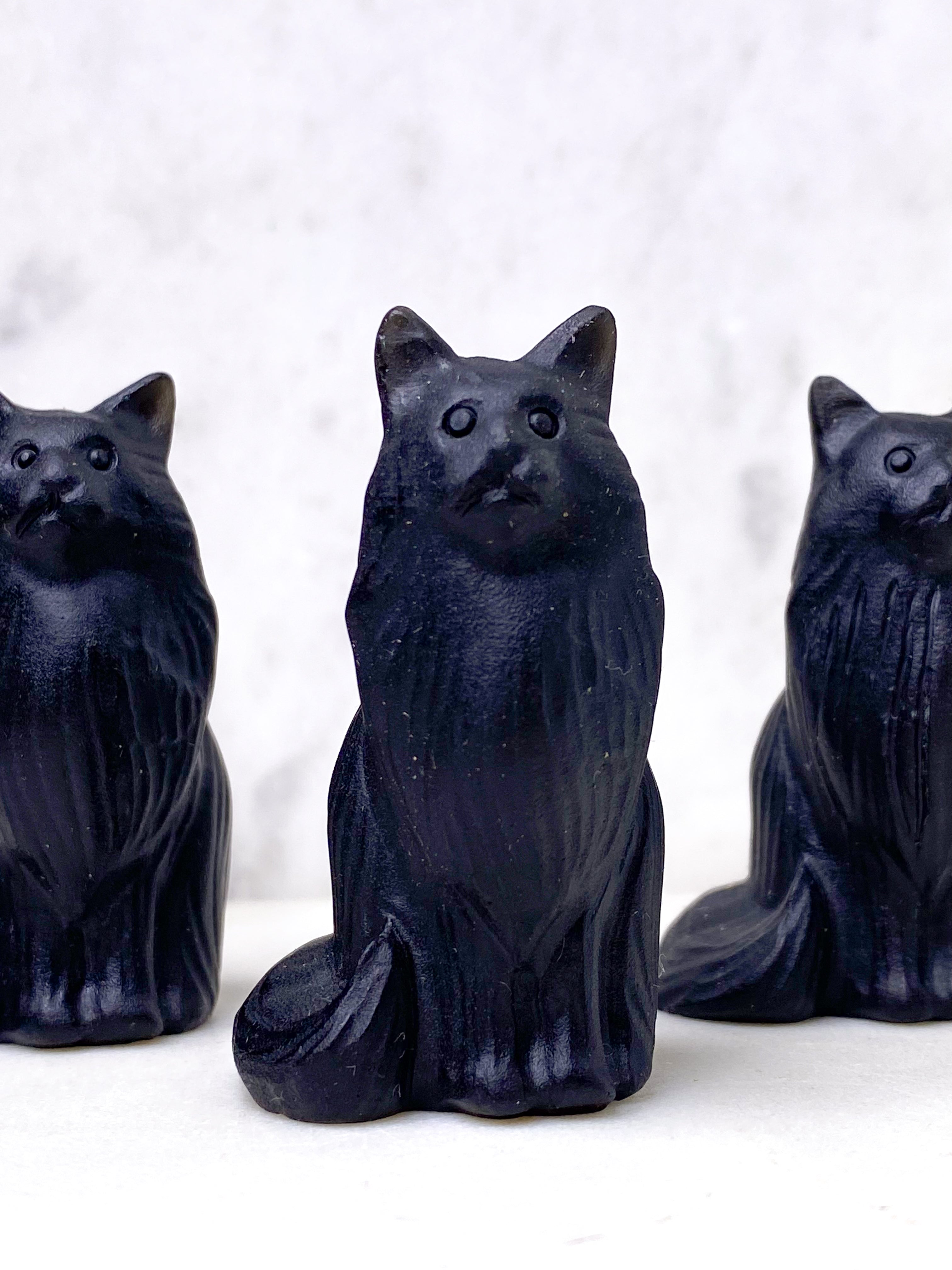 Obsidian Långhårig Katt