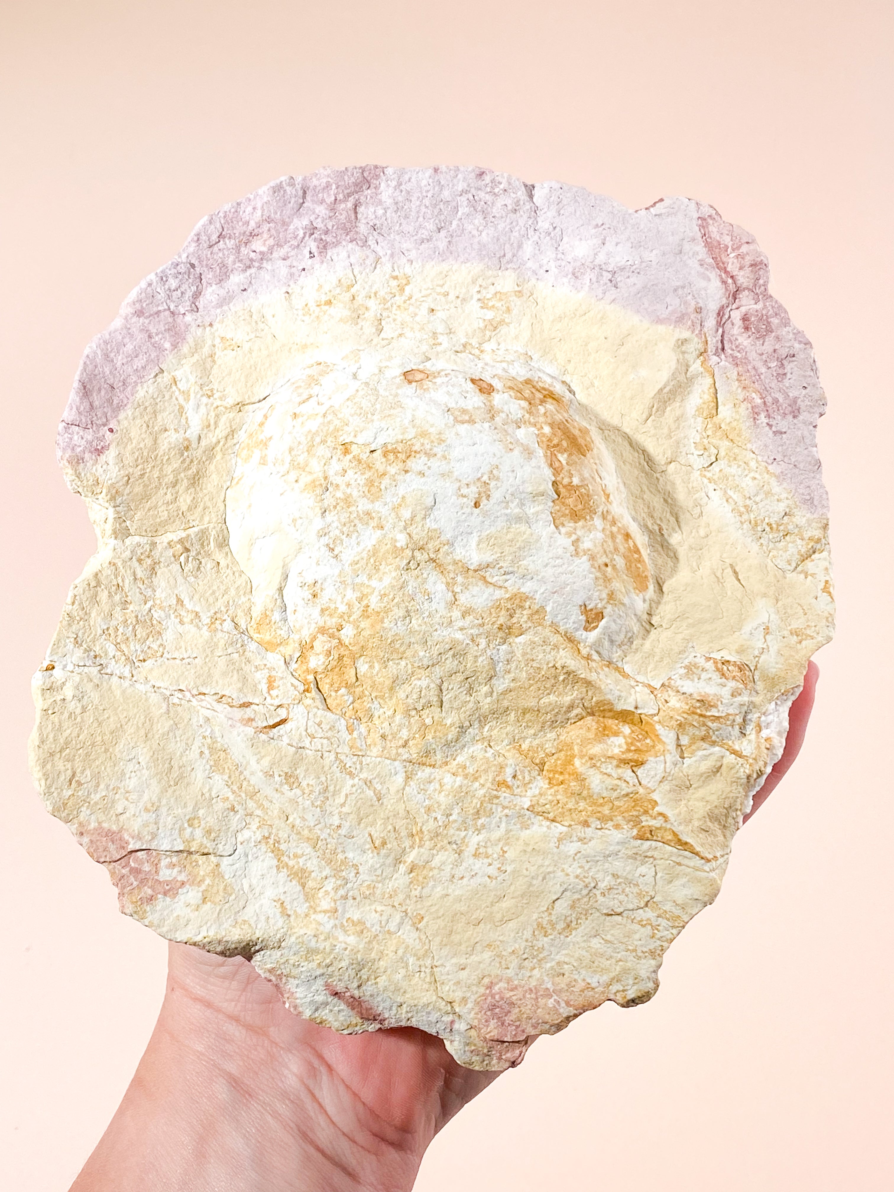 Kæmpe Calcit Geode - 1,3 Kg (Nr. 1)