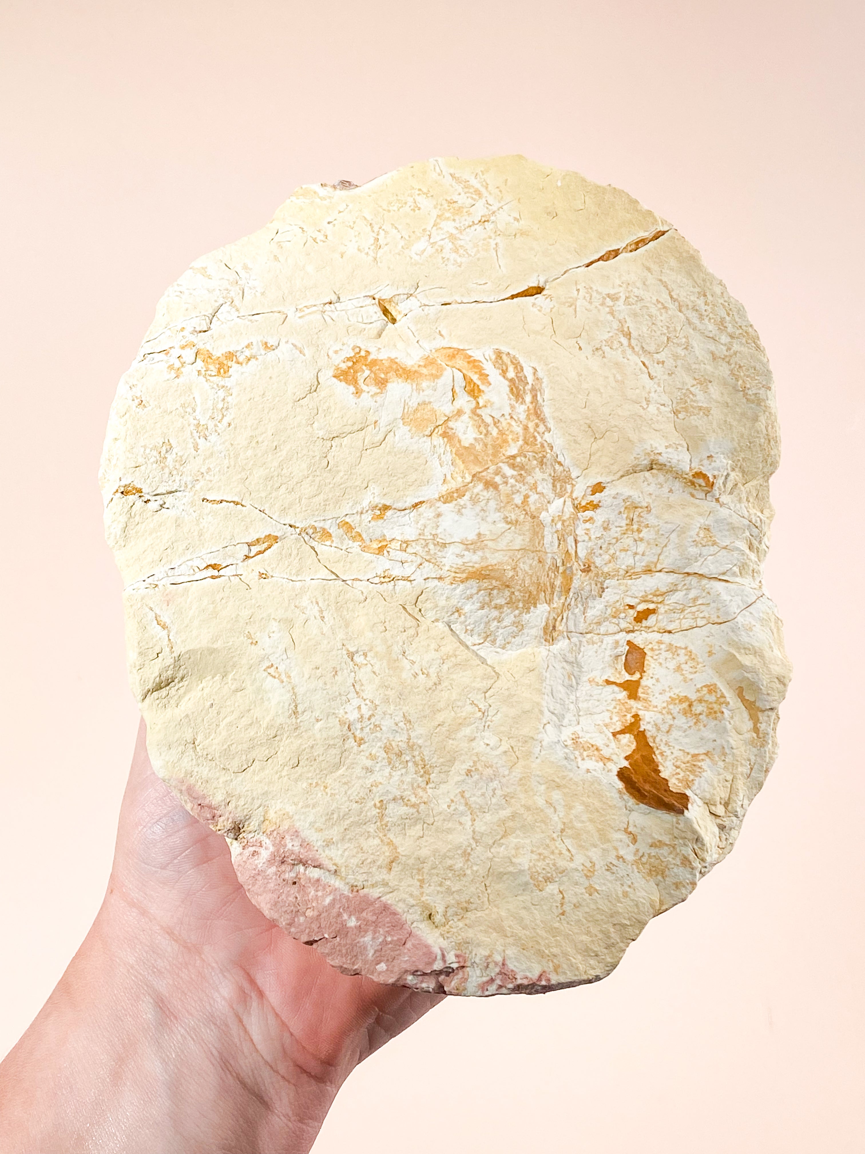 Kæmpe Calcit Geode - 1,3 Kg. (Nr. 3)