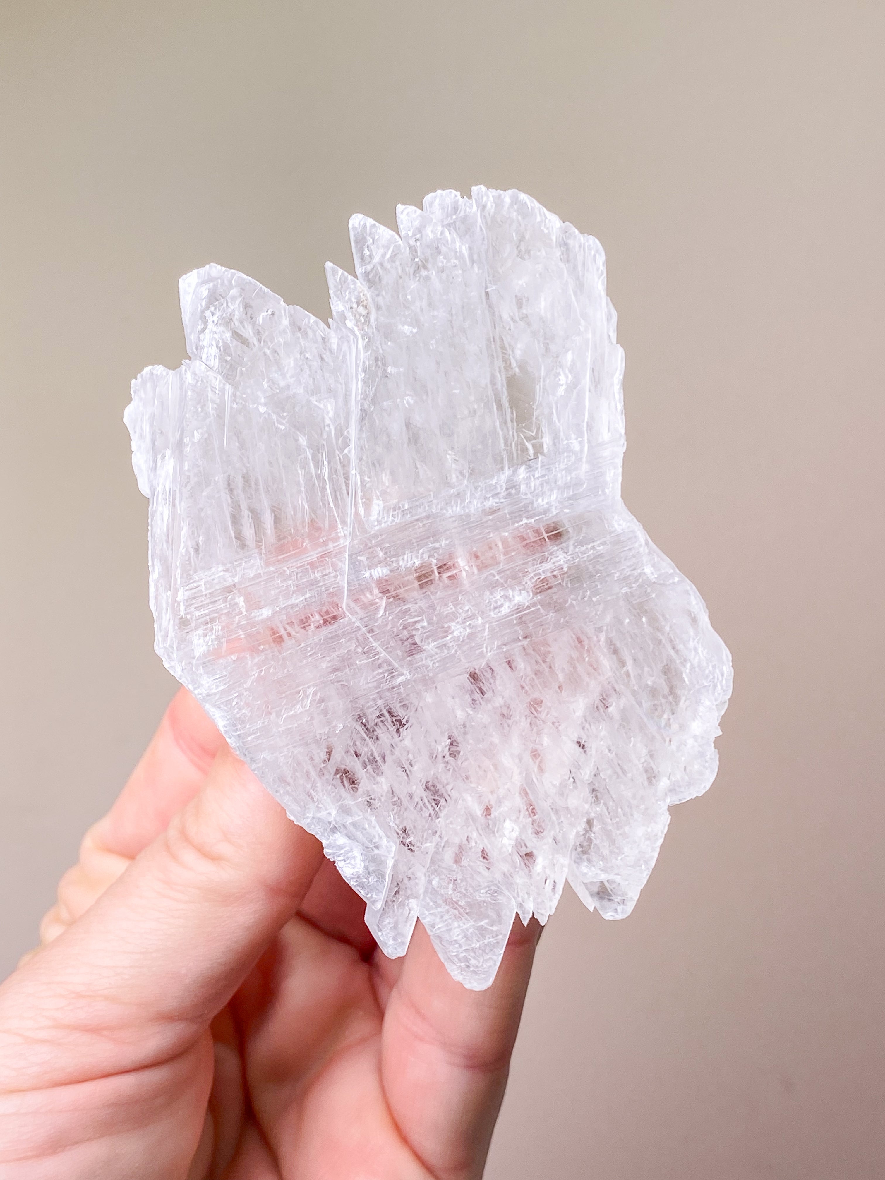 Fiskstjärt/Ängelvinge Selenit (nr 6) Exklusiv kvalitet