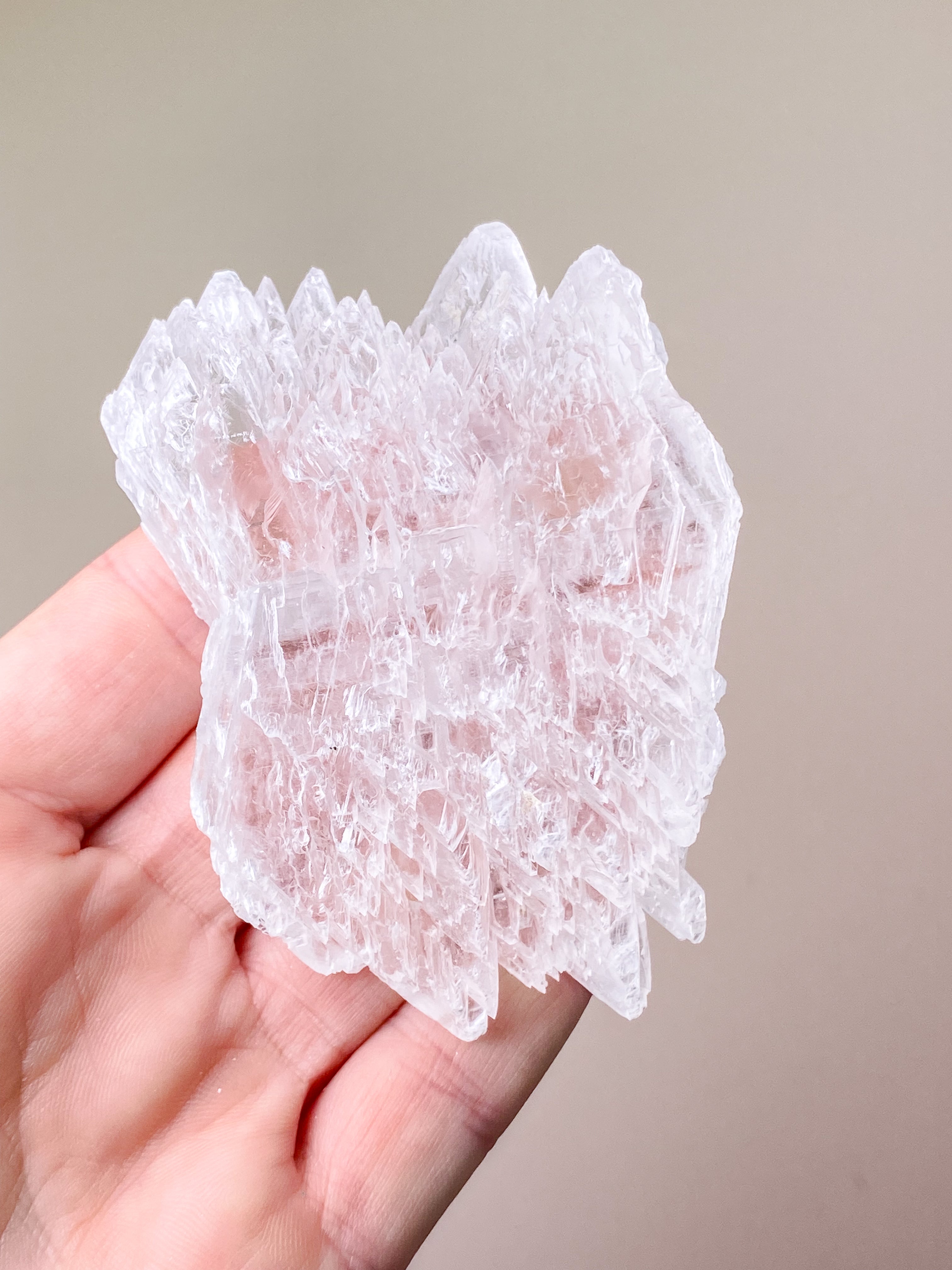 Fiskstjärt/Ängelvinge Selenit (nr 6) Exklusiv kvalitet