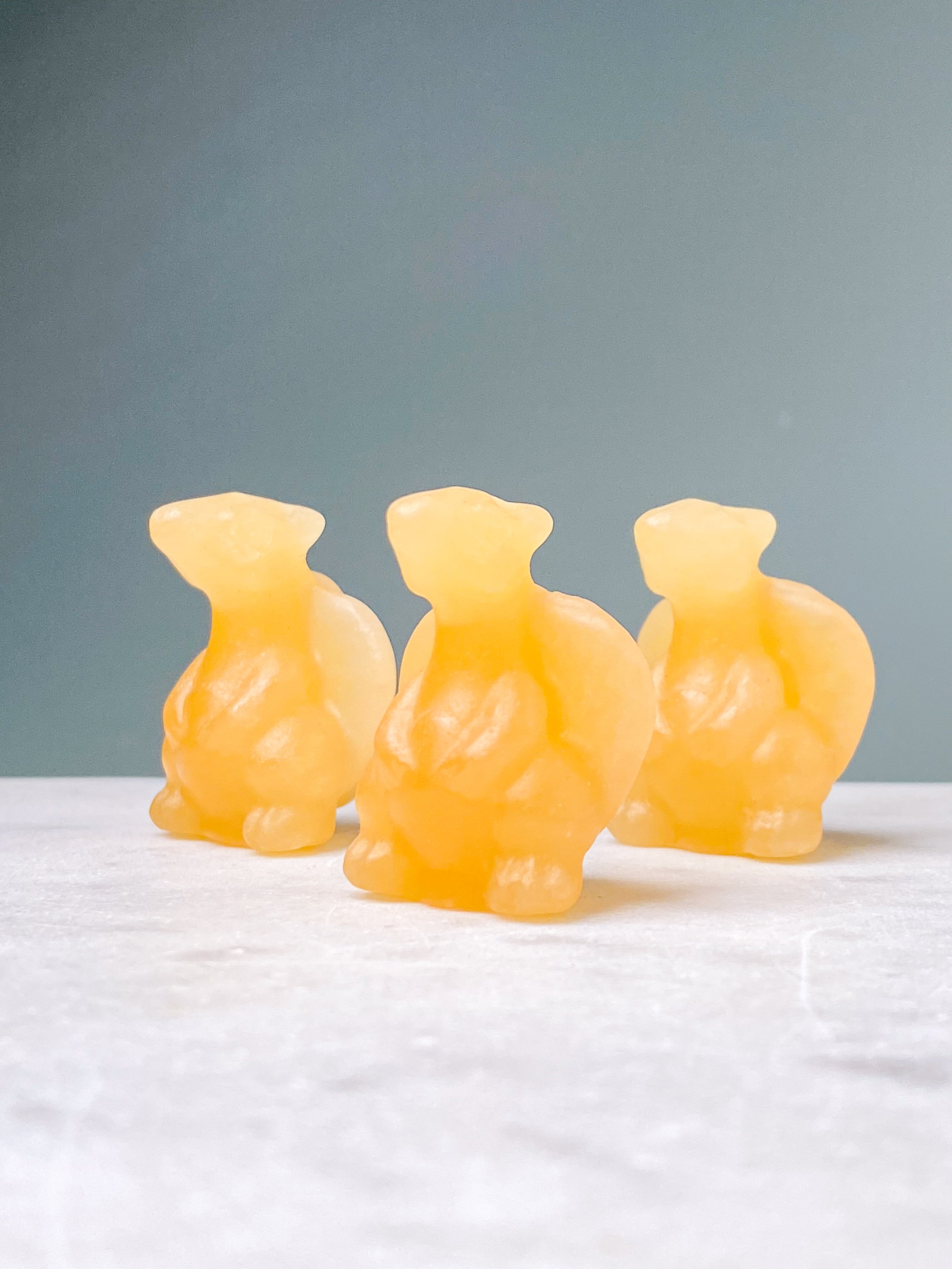 Orange kalcitpumpa med band