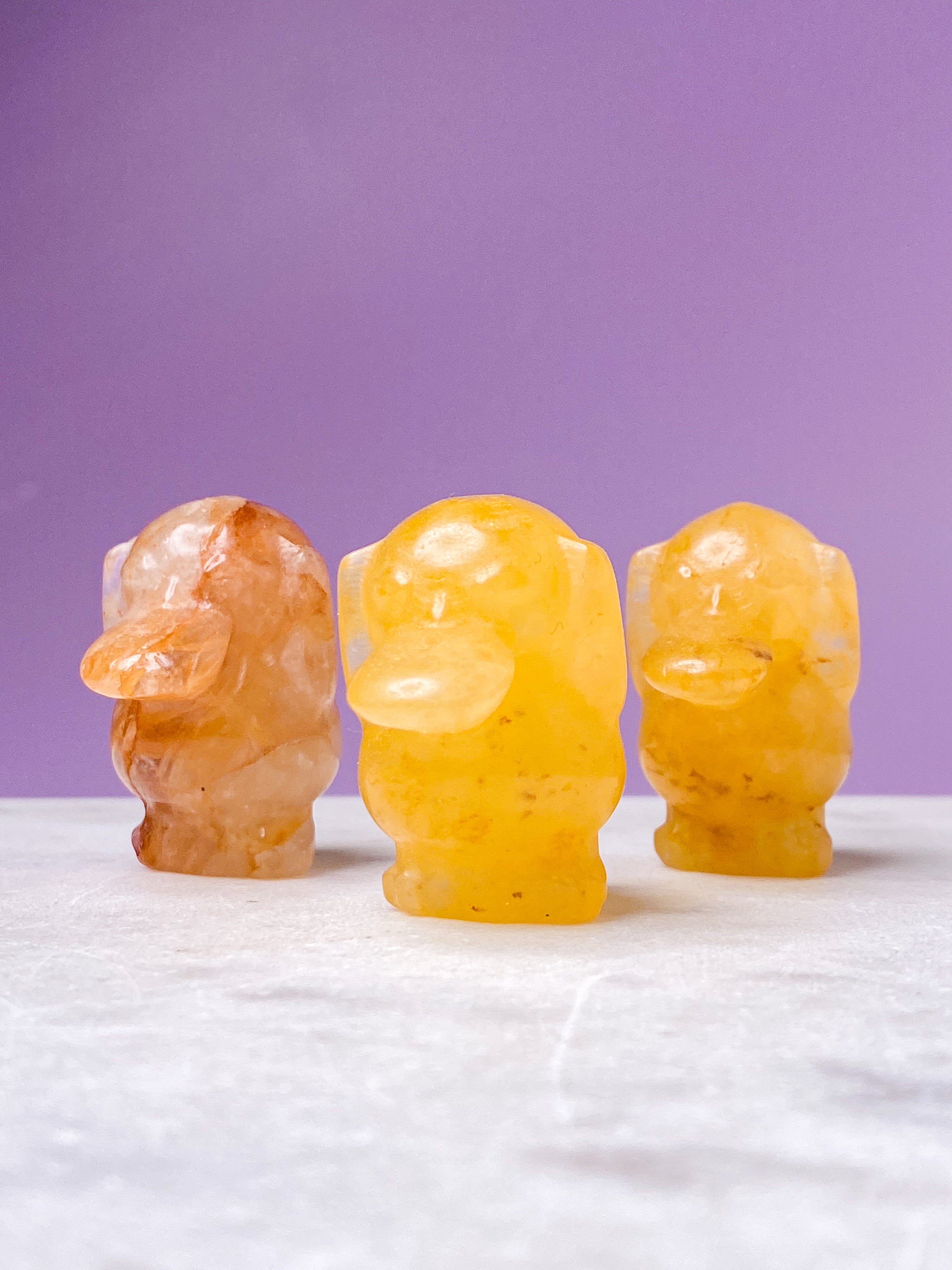 Golden Healer Polerad